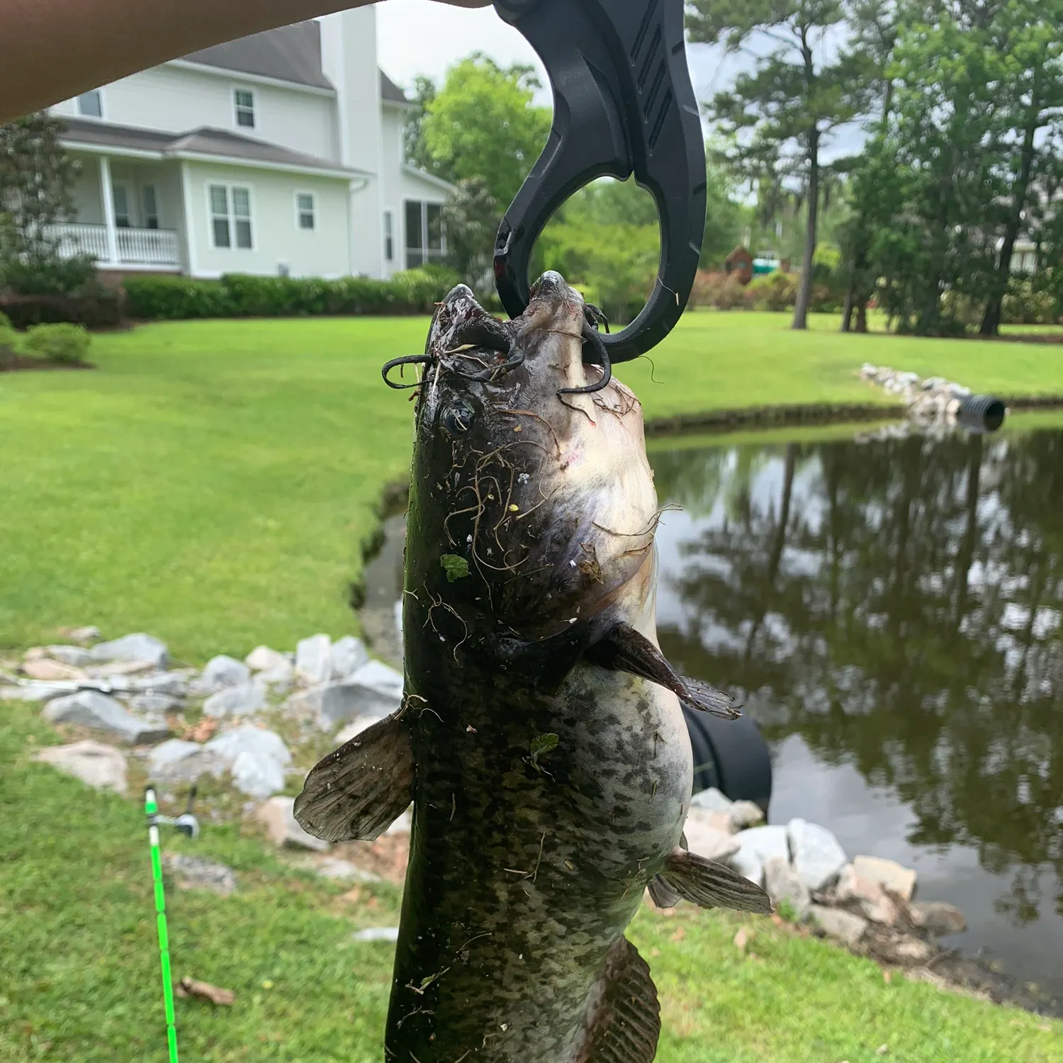 angler catch