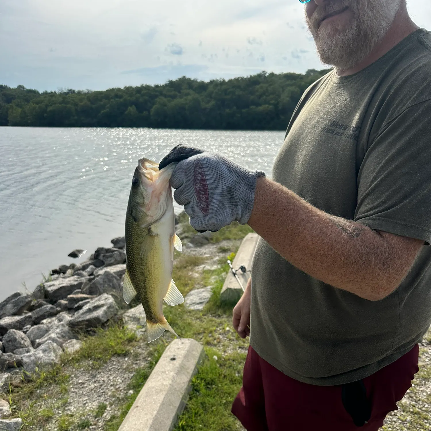 Largemouth bass caught on Fishbrain