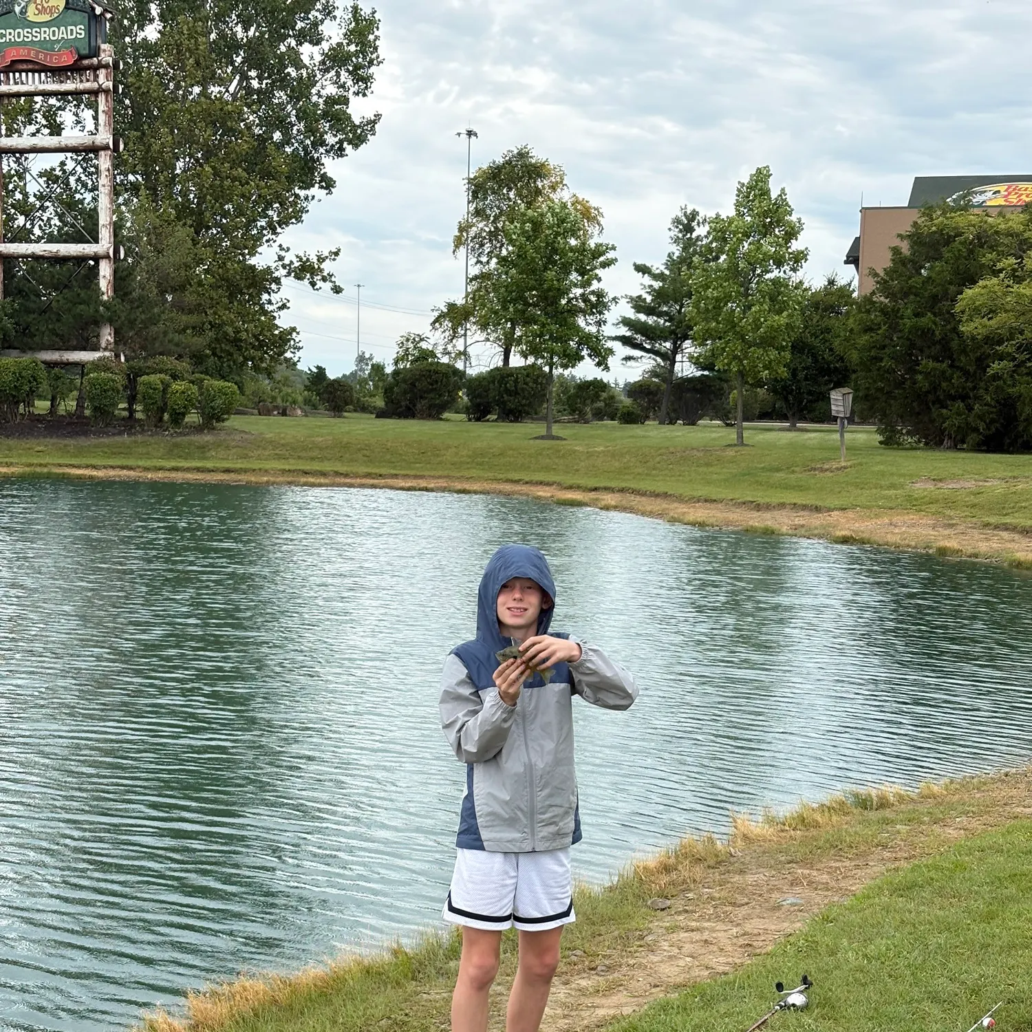 Bluegill caught on Fishbrain
