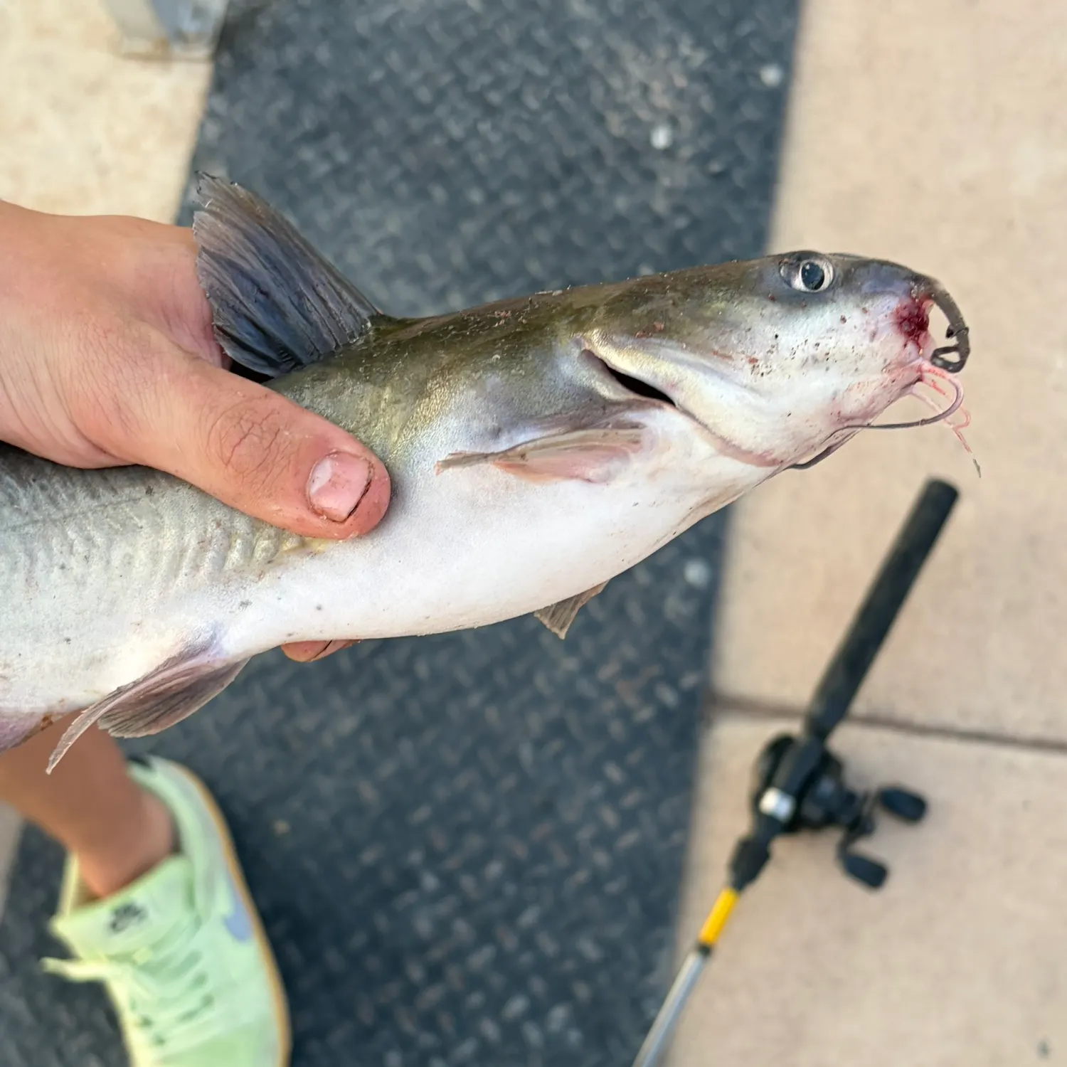 catch