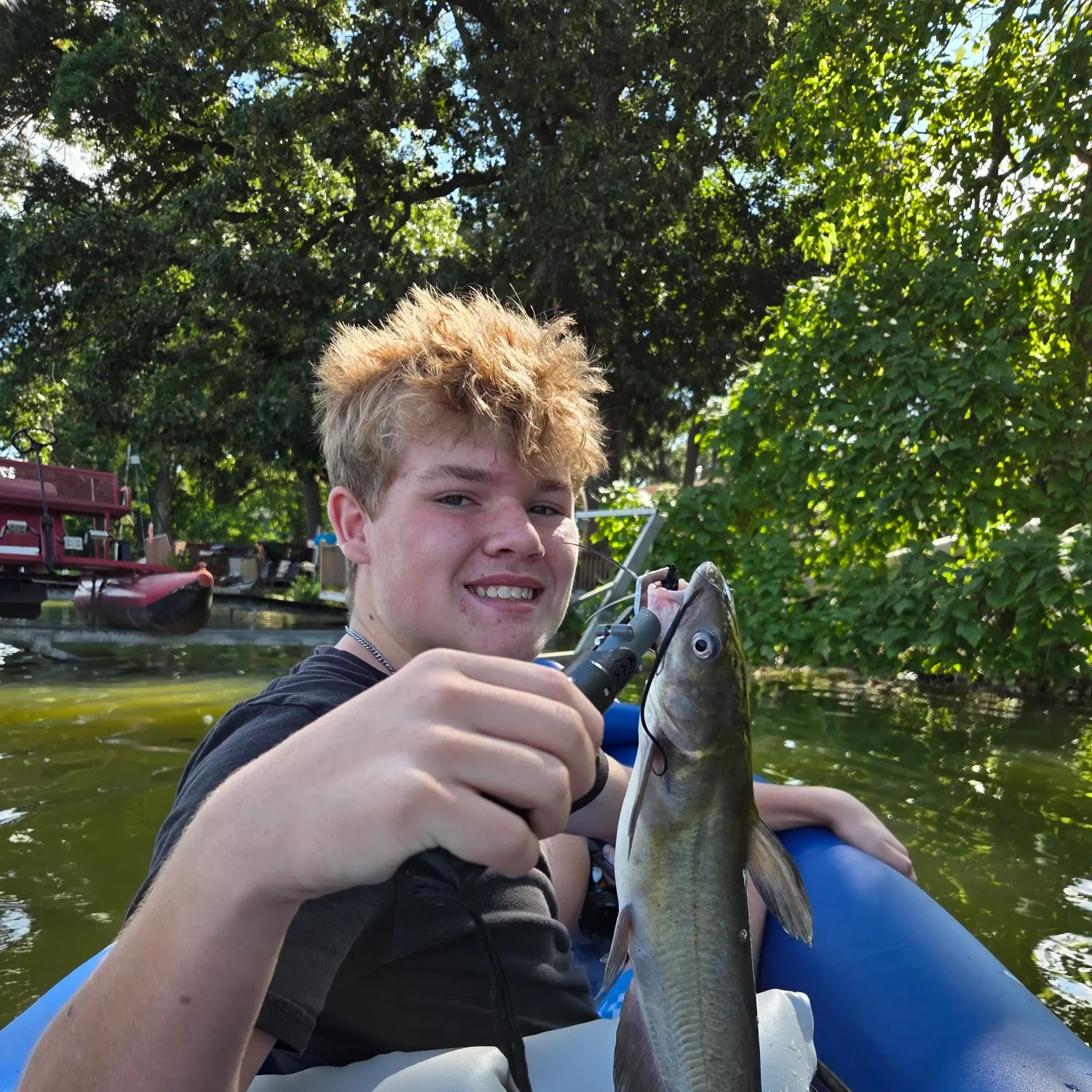Channel catfish caught on Fishbrain