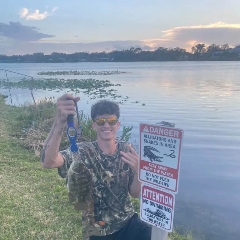 The most recent Longfin tilapia catches on Fishbrain