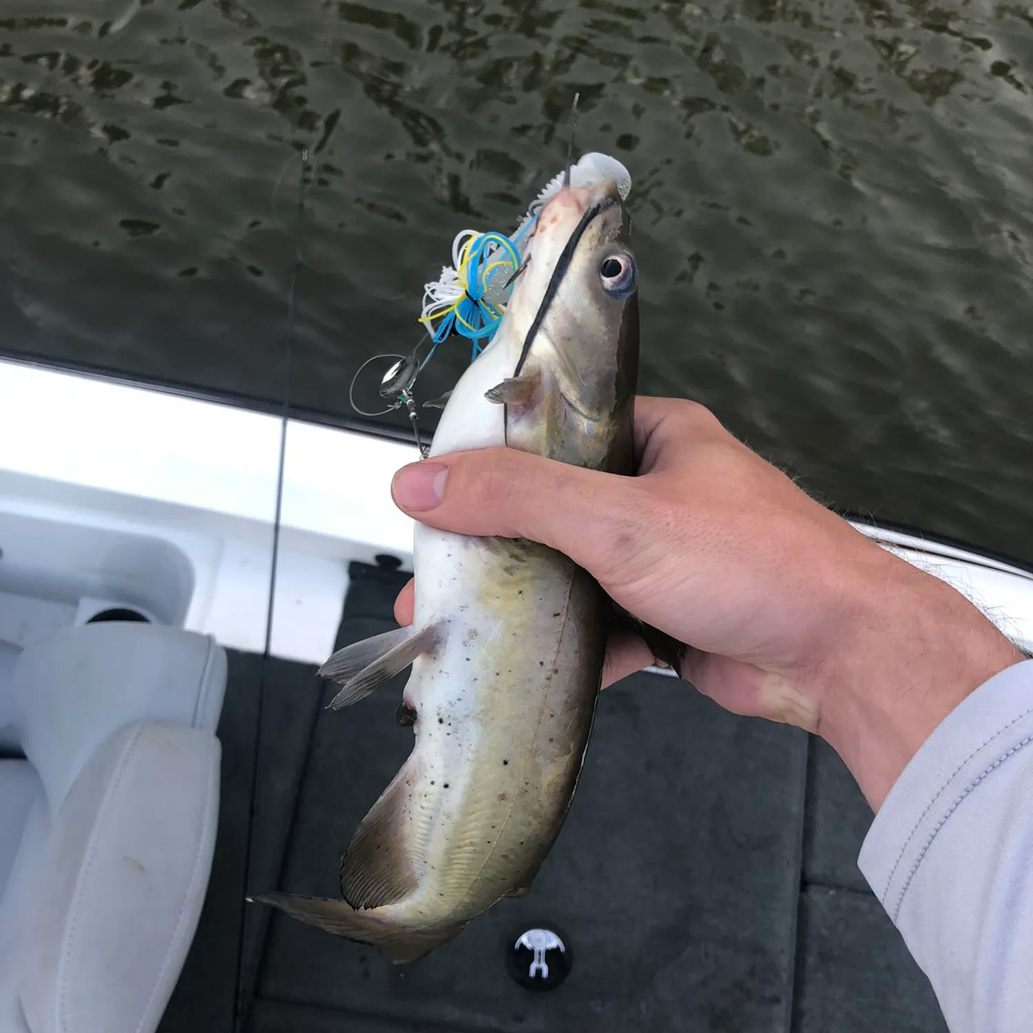angler catch