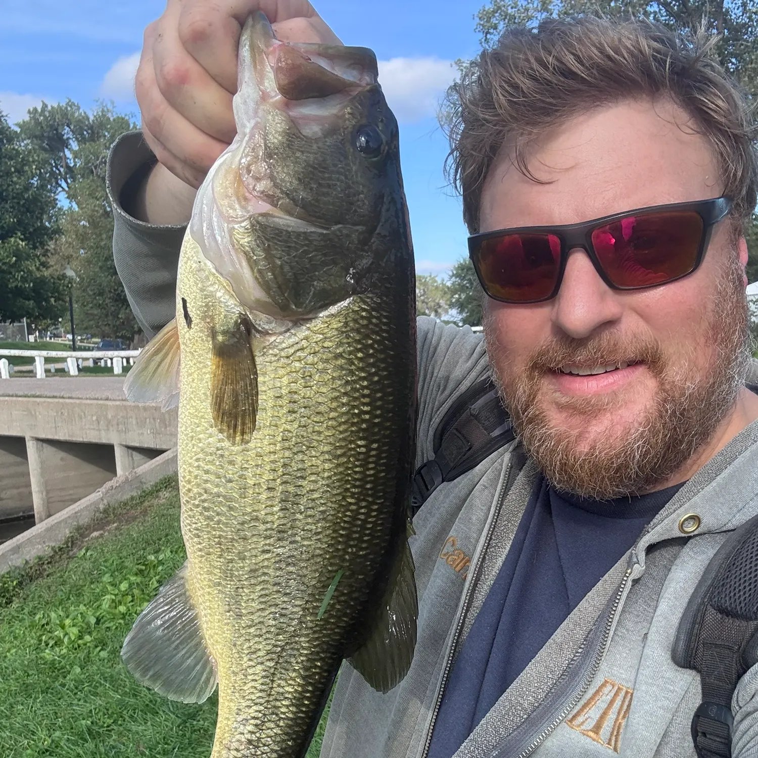 Largemouth bass caught on Fishbrain