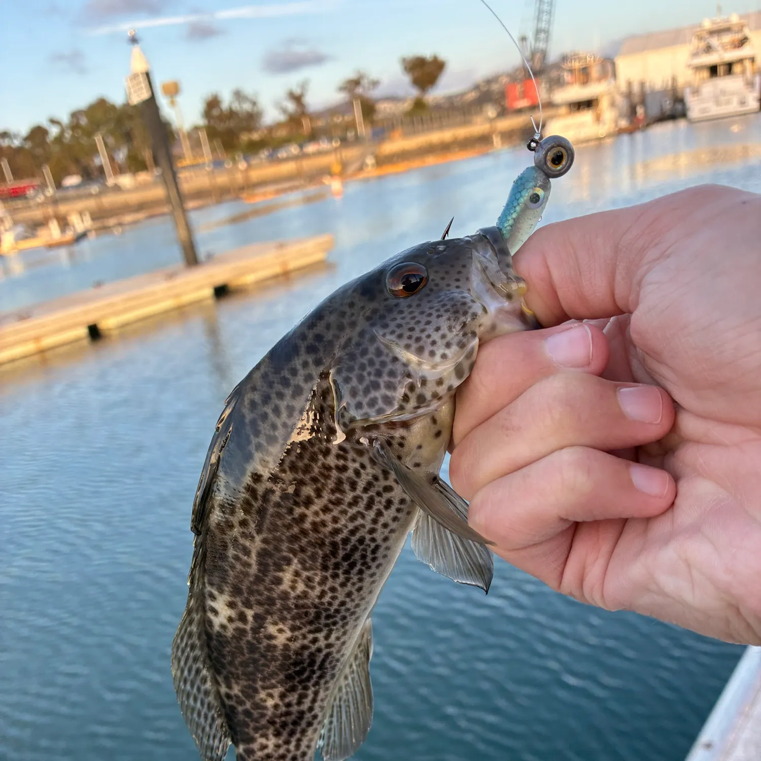 catch