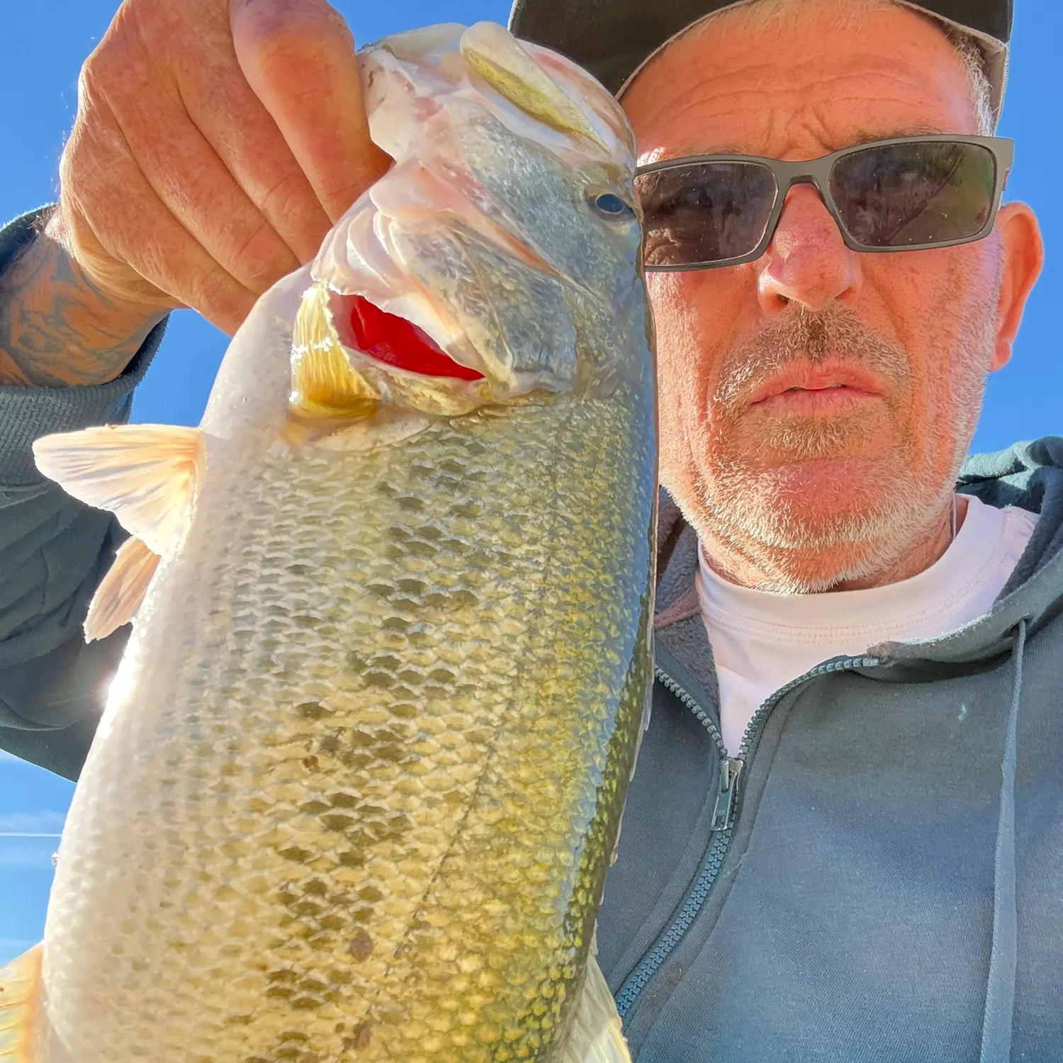 The most recent Largemouth bass catches on Fishbrain