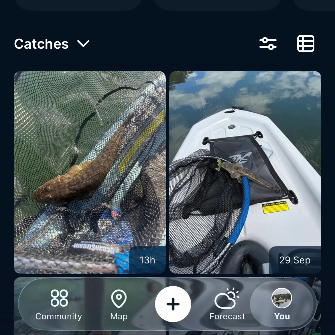 Fish caught on Fishbrain