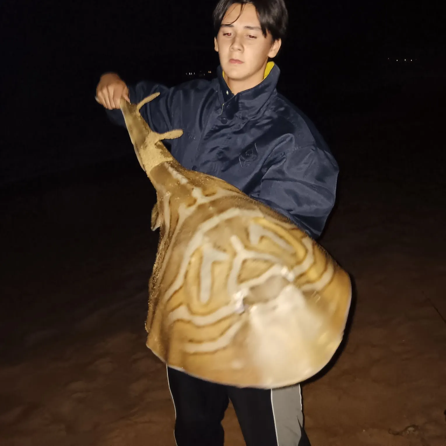 The most recent Southern fiddler catches on Fishbrain