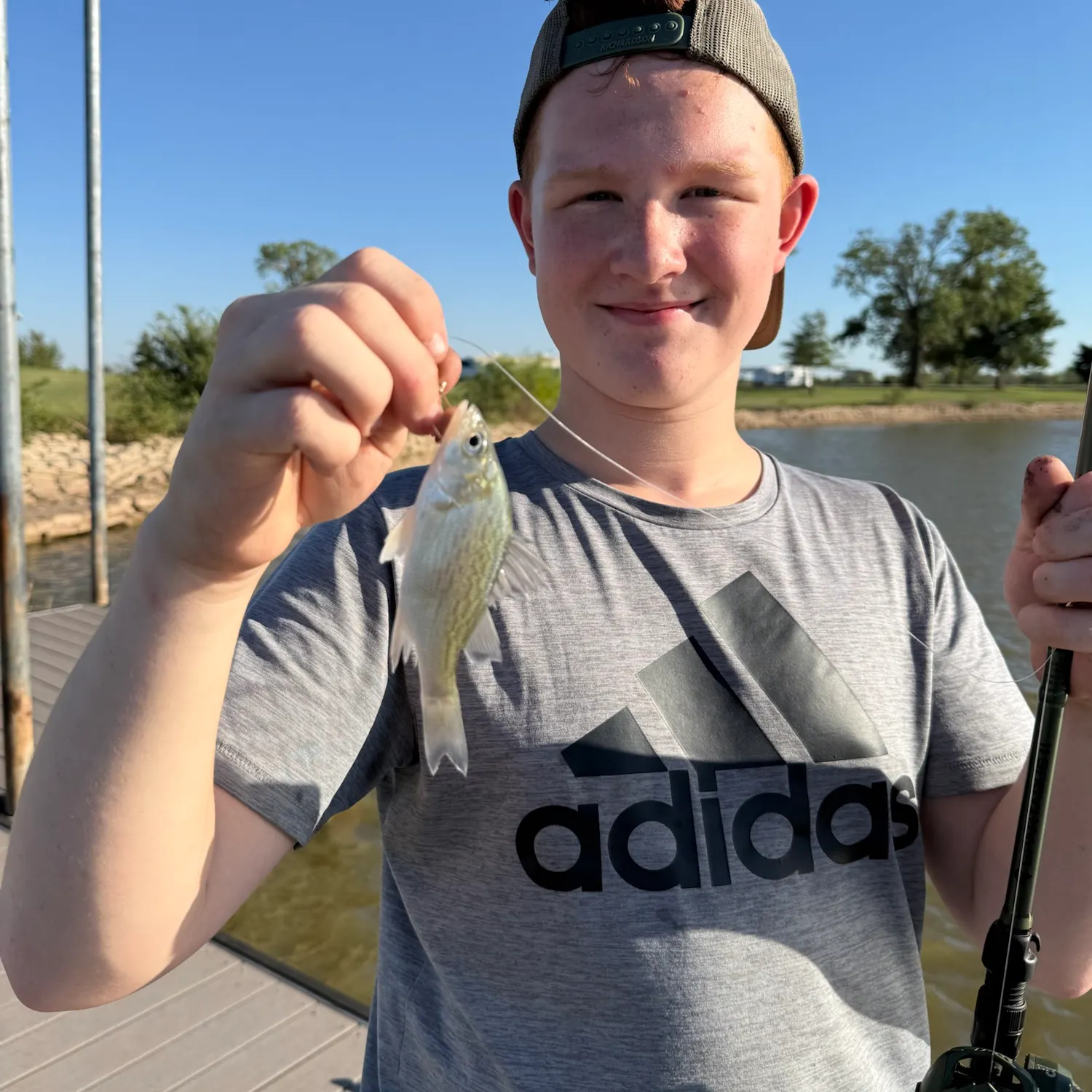 White bass caught on Fishbrain