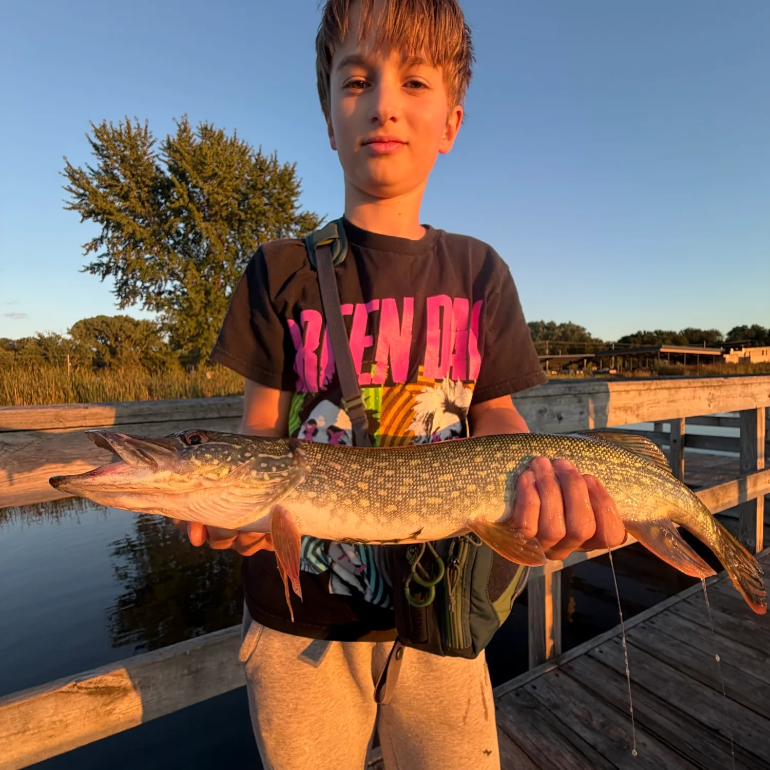 Northern pike caught on Fishbrain