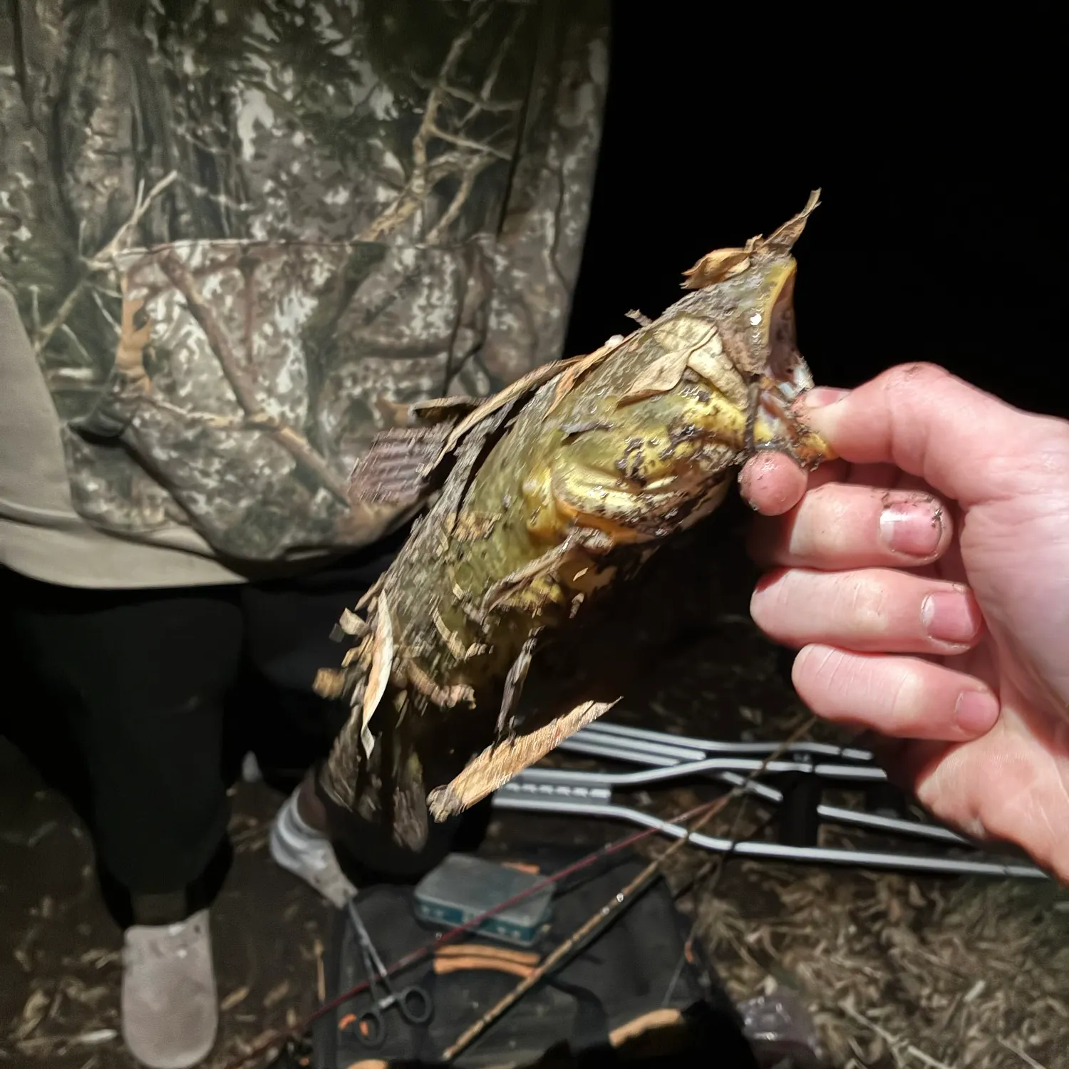 Yellow bullhead caught on Fishbrain