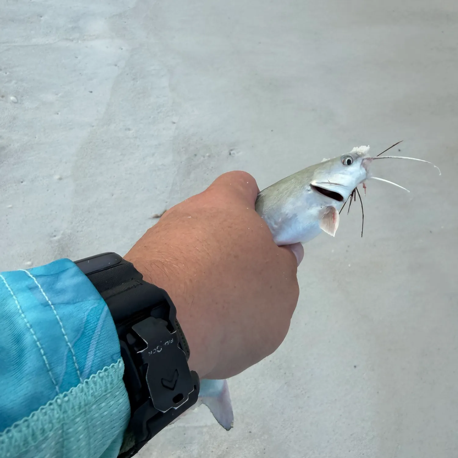 catch