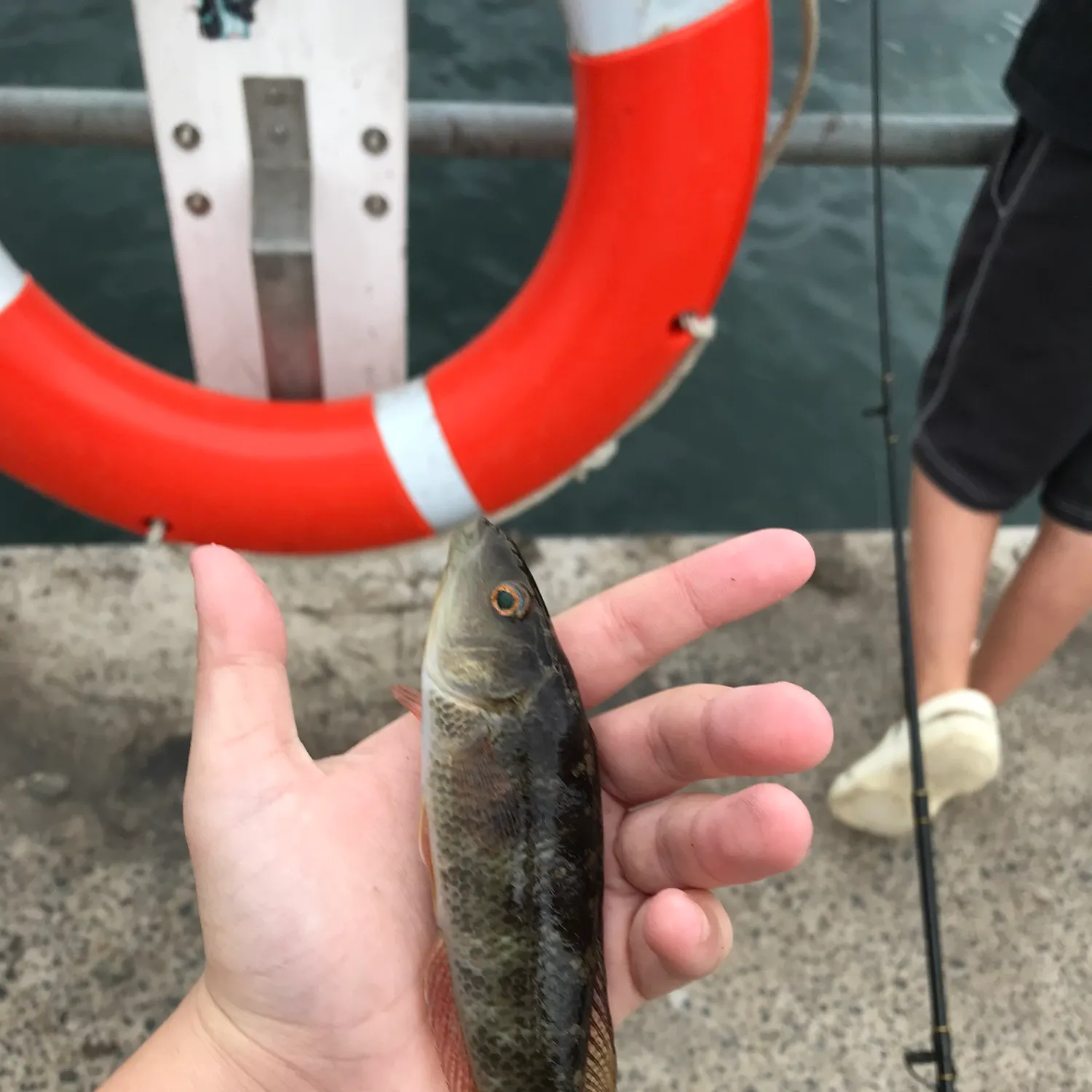 catch