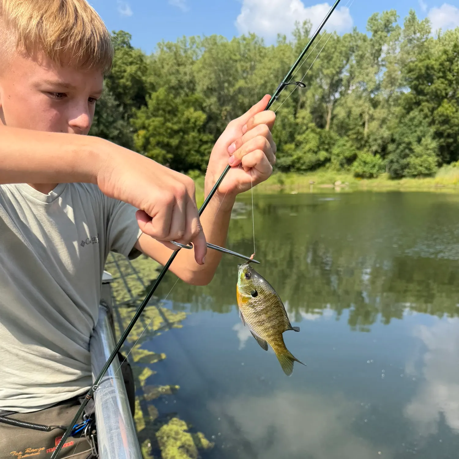 Bluegill caught on Fishbrain