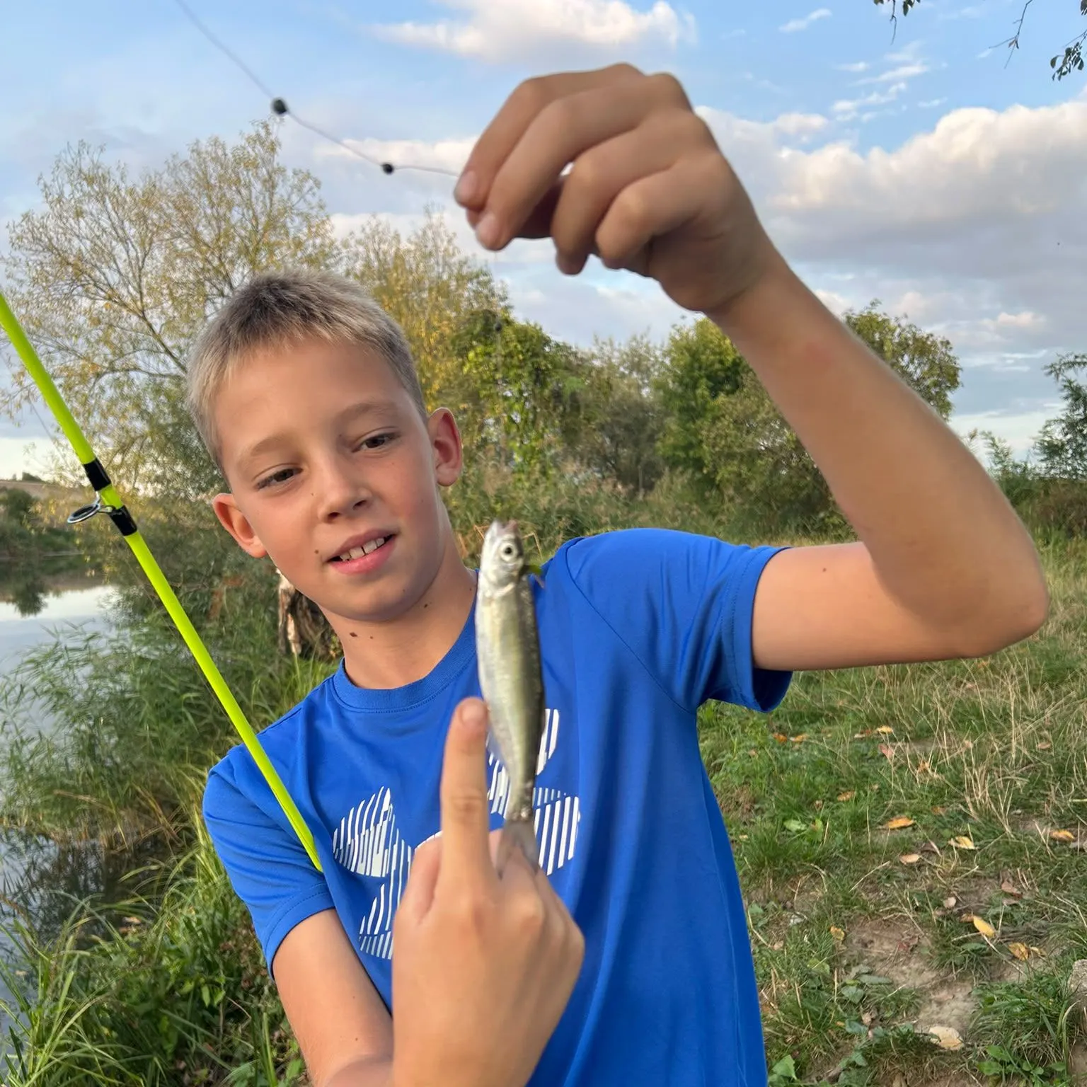 The most recent Whiting catches on Fishbrain