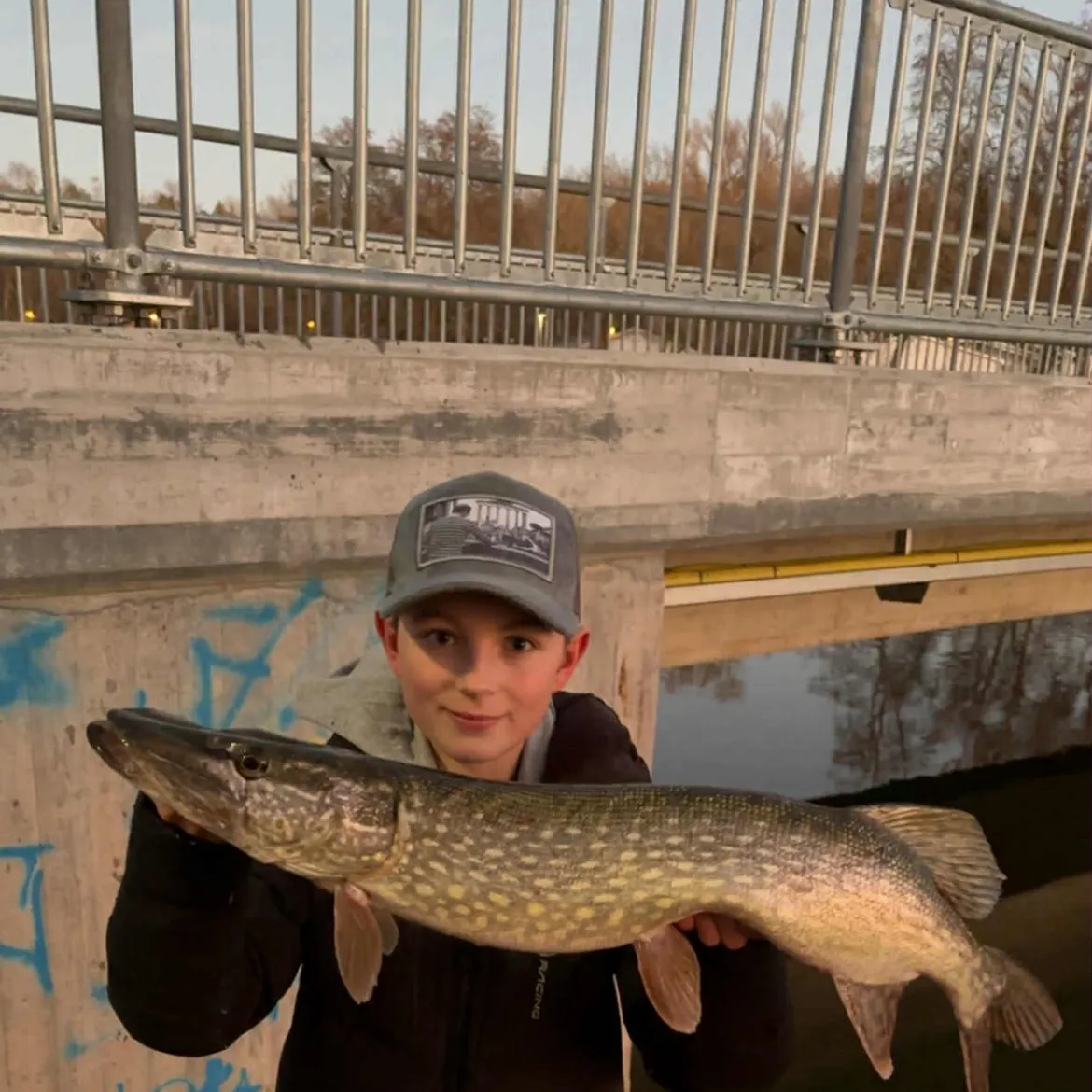 The most recent Northern pike catches on Fishbrain