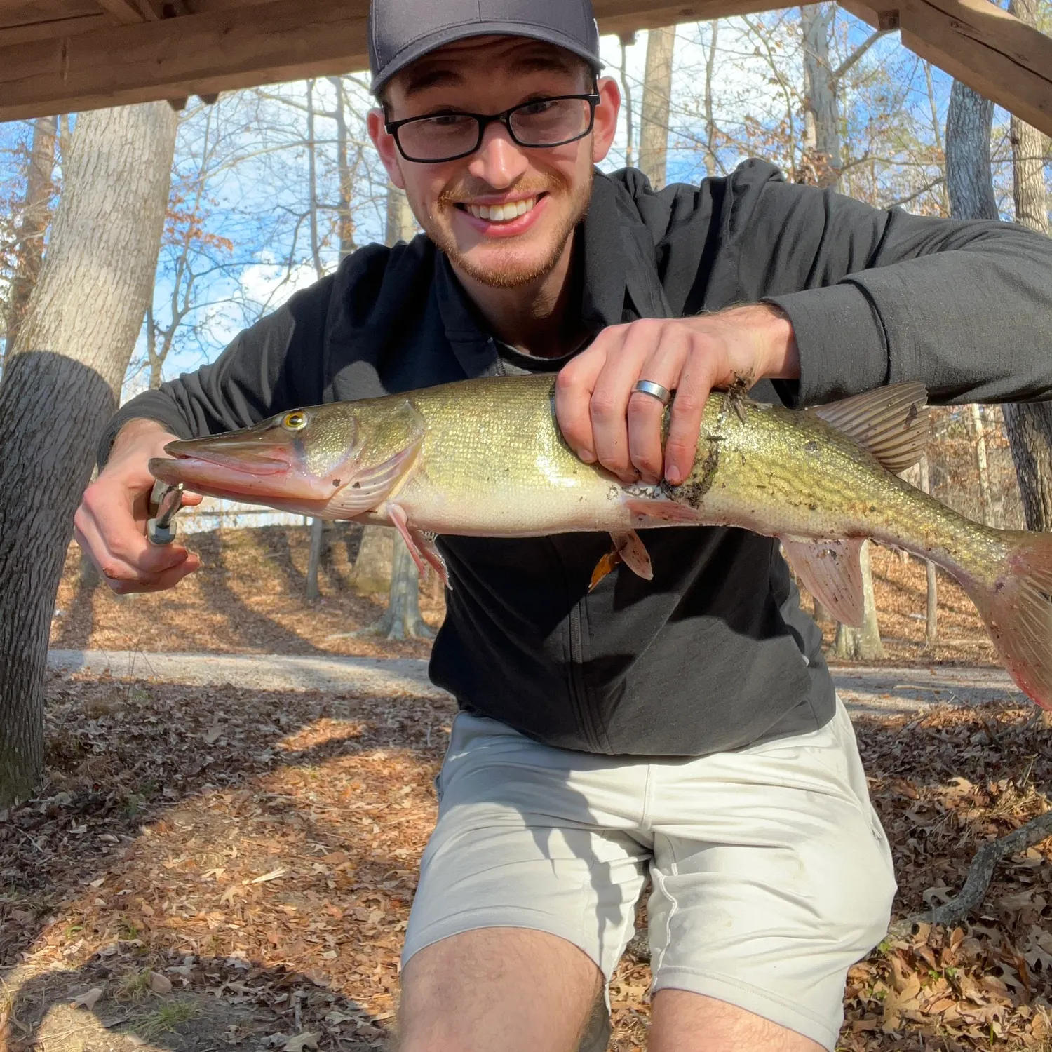 The most recent Chain pickerel catches on Fishbrain