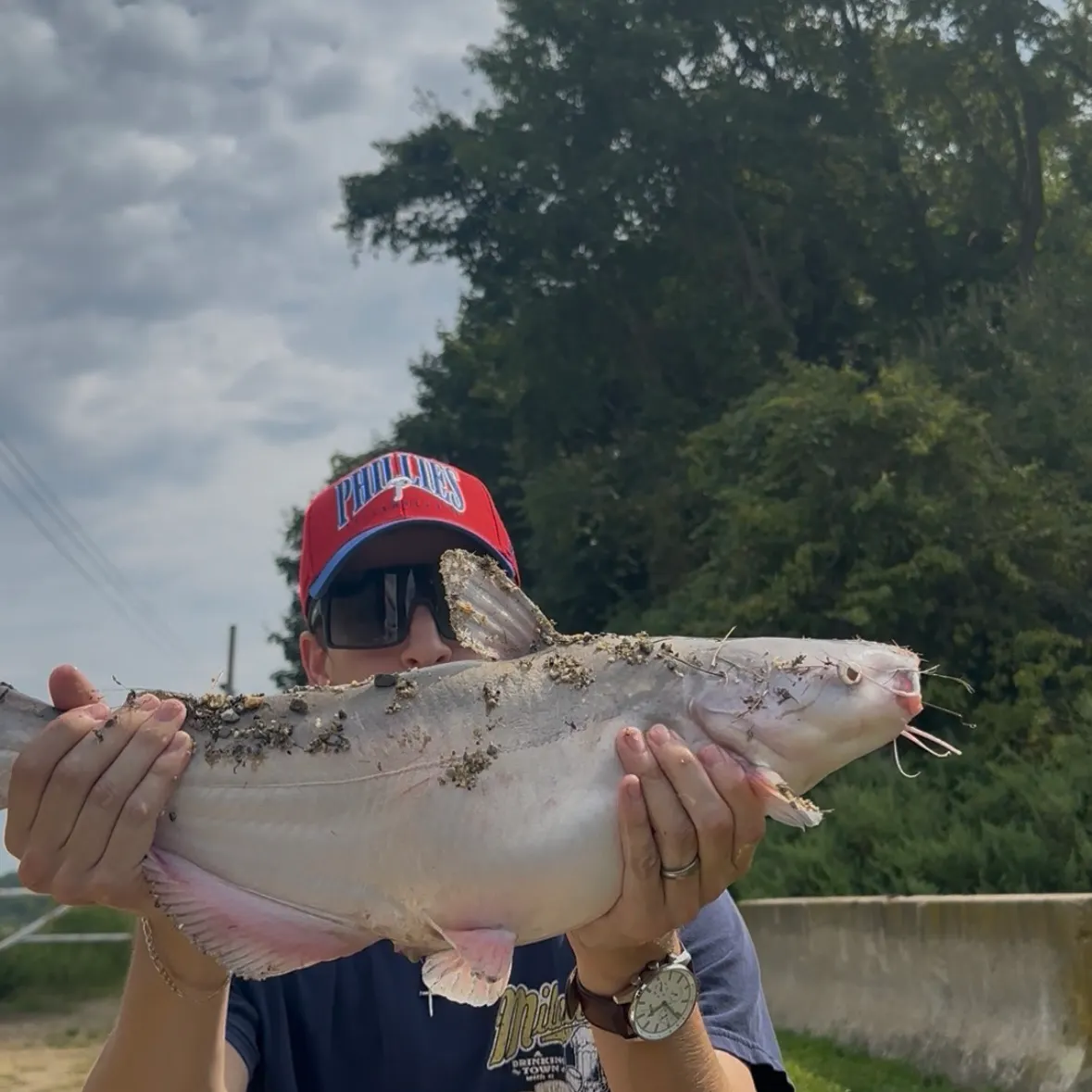 Blue catfish caught on Fishbrain
