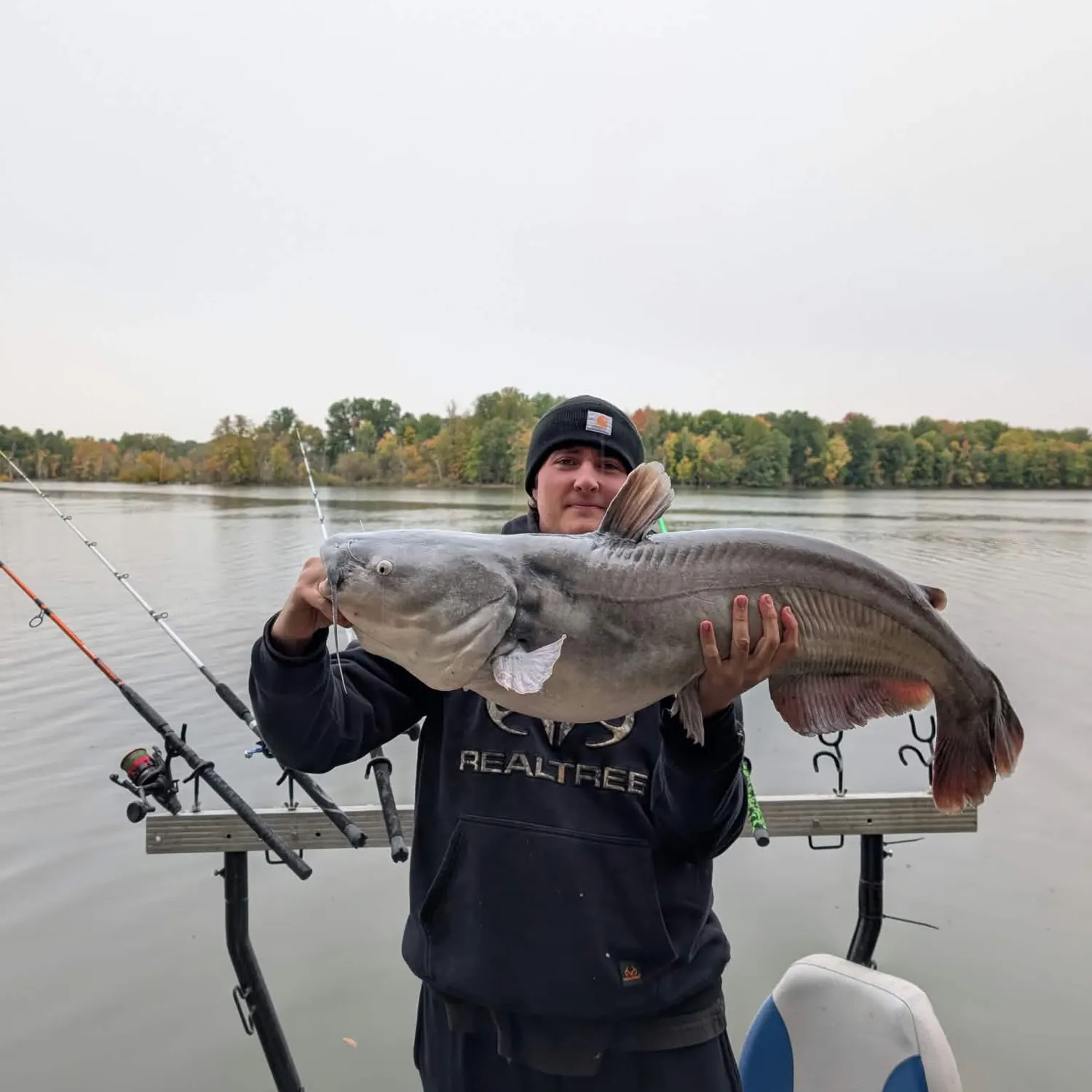Blue catfish caught on Fishbrain
