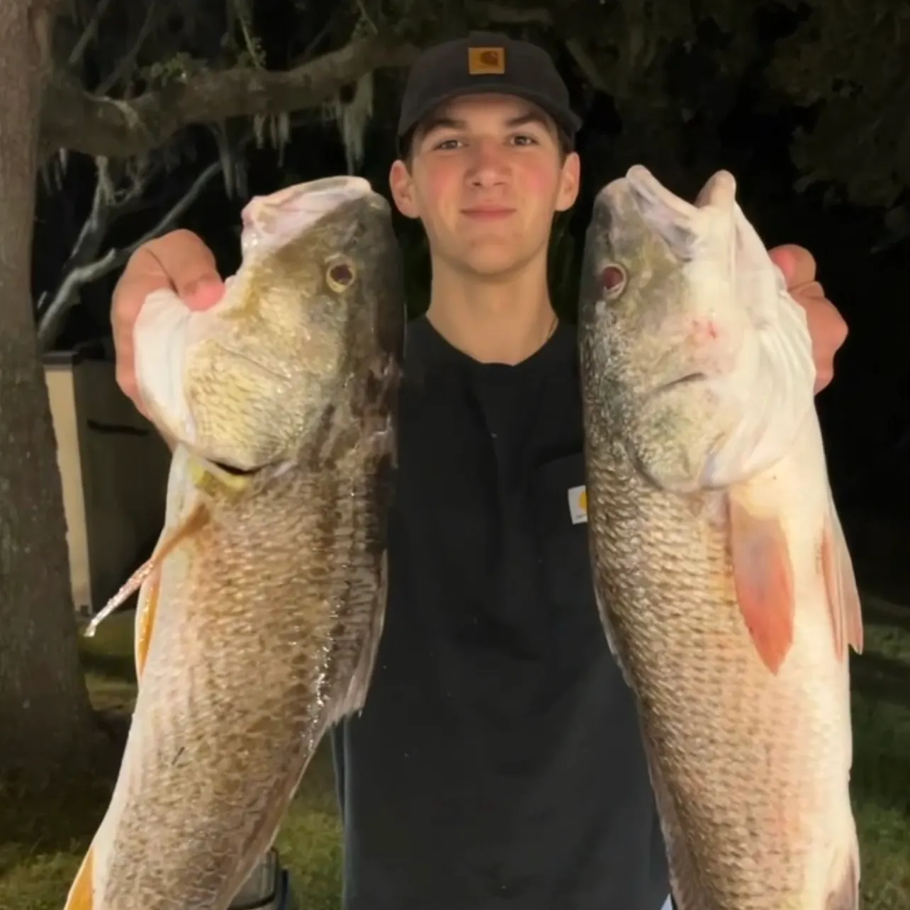 The most recent Red drum catches on Fishbrain