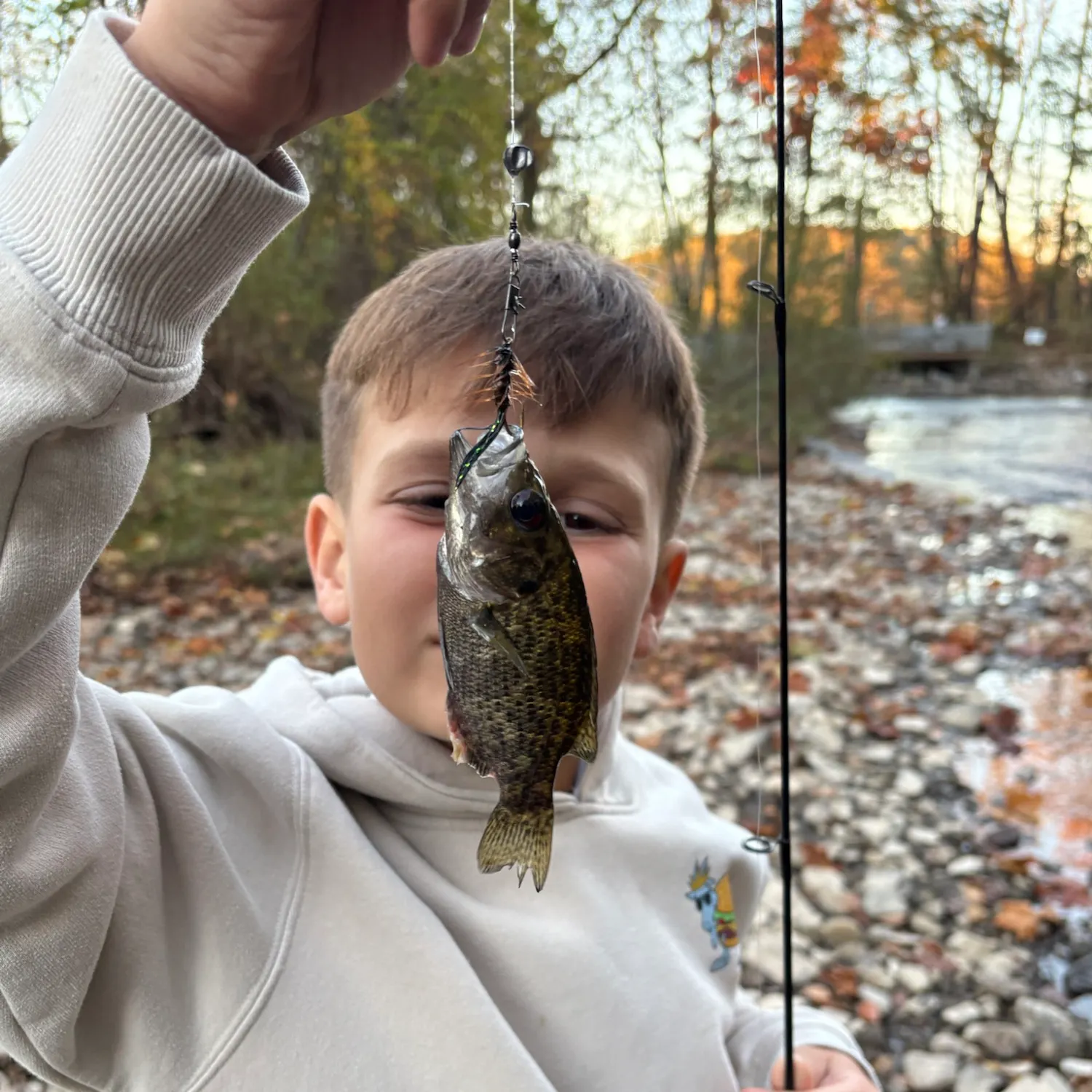 Rock bass caught on Fishbrain