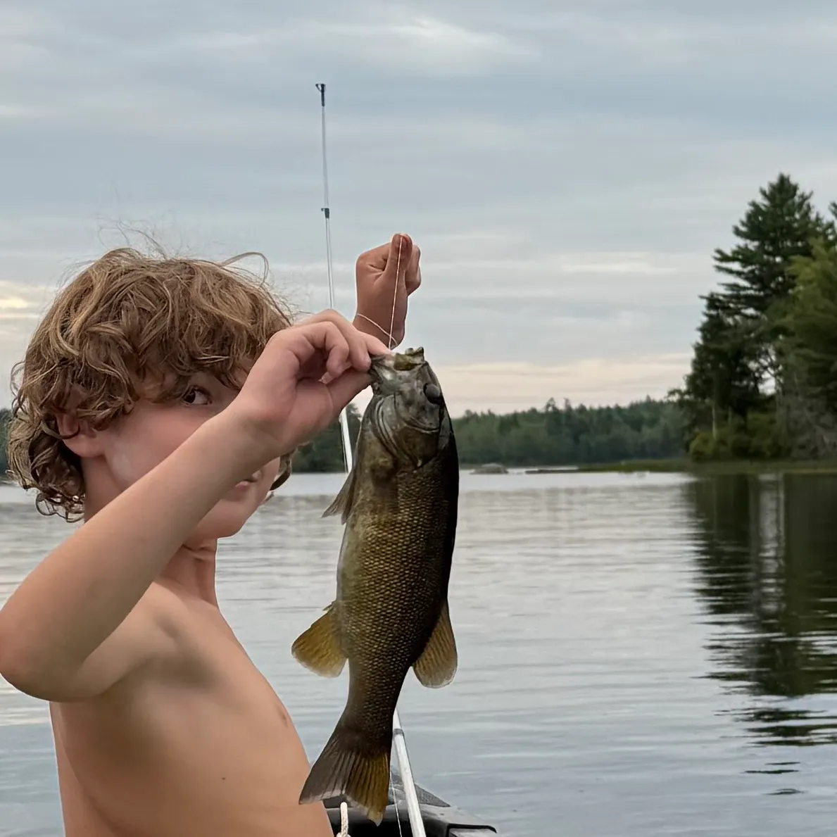 Smallmouth bass caught on Fishbrain