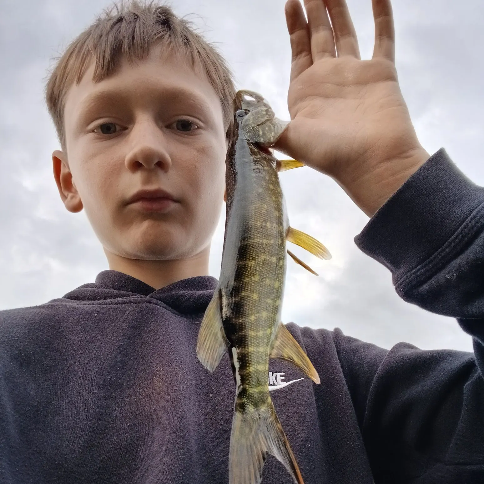 Northern pike caught on Fishbrain