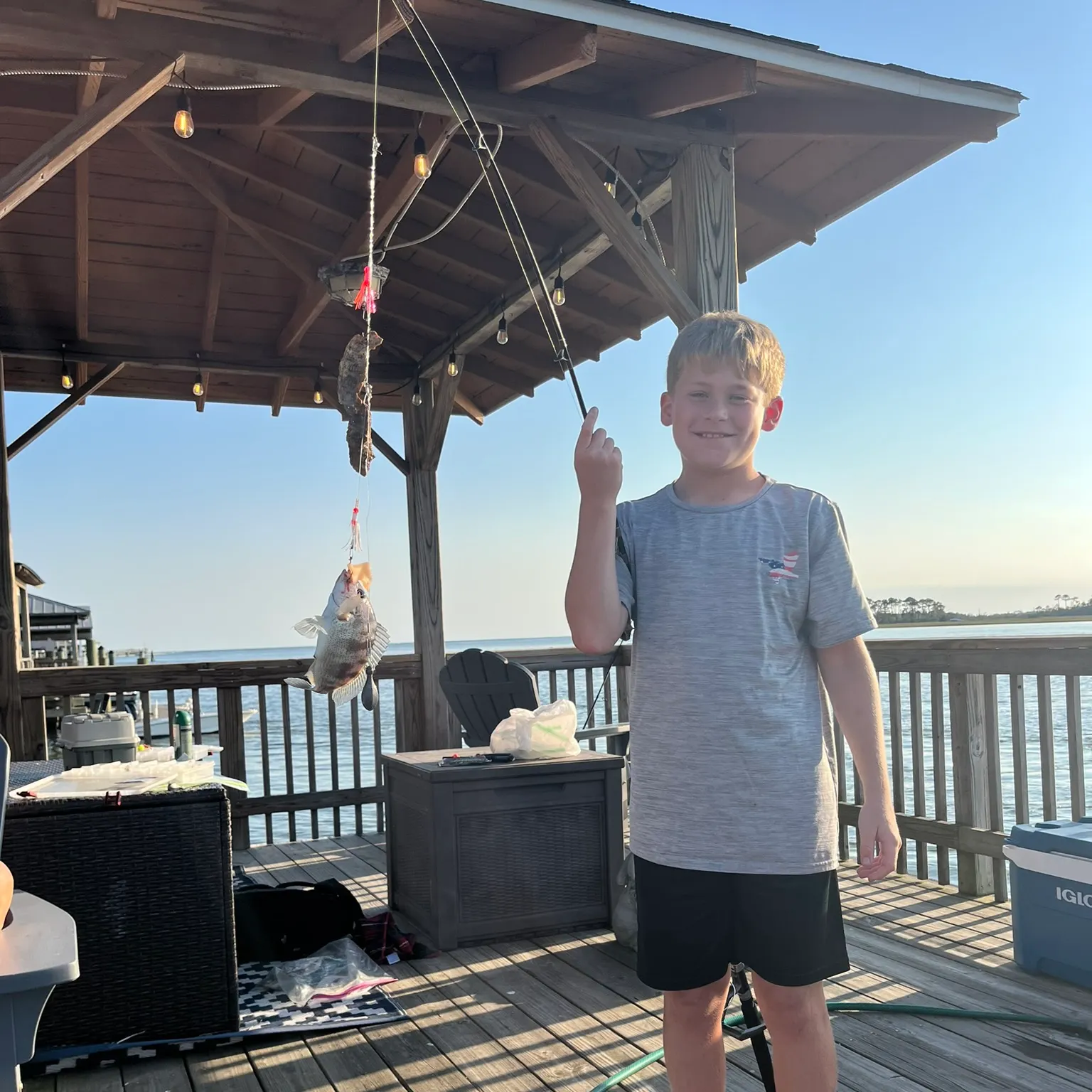 The most recent Rock sea bass catches on Fishbrain