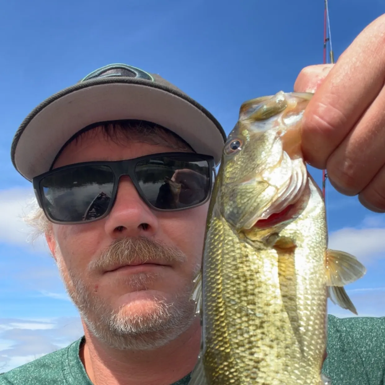 Largemouth bass caught on Fishbrain