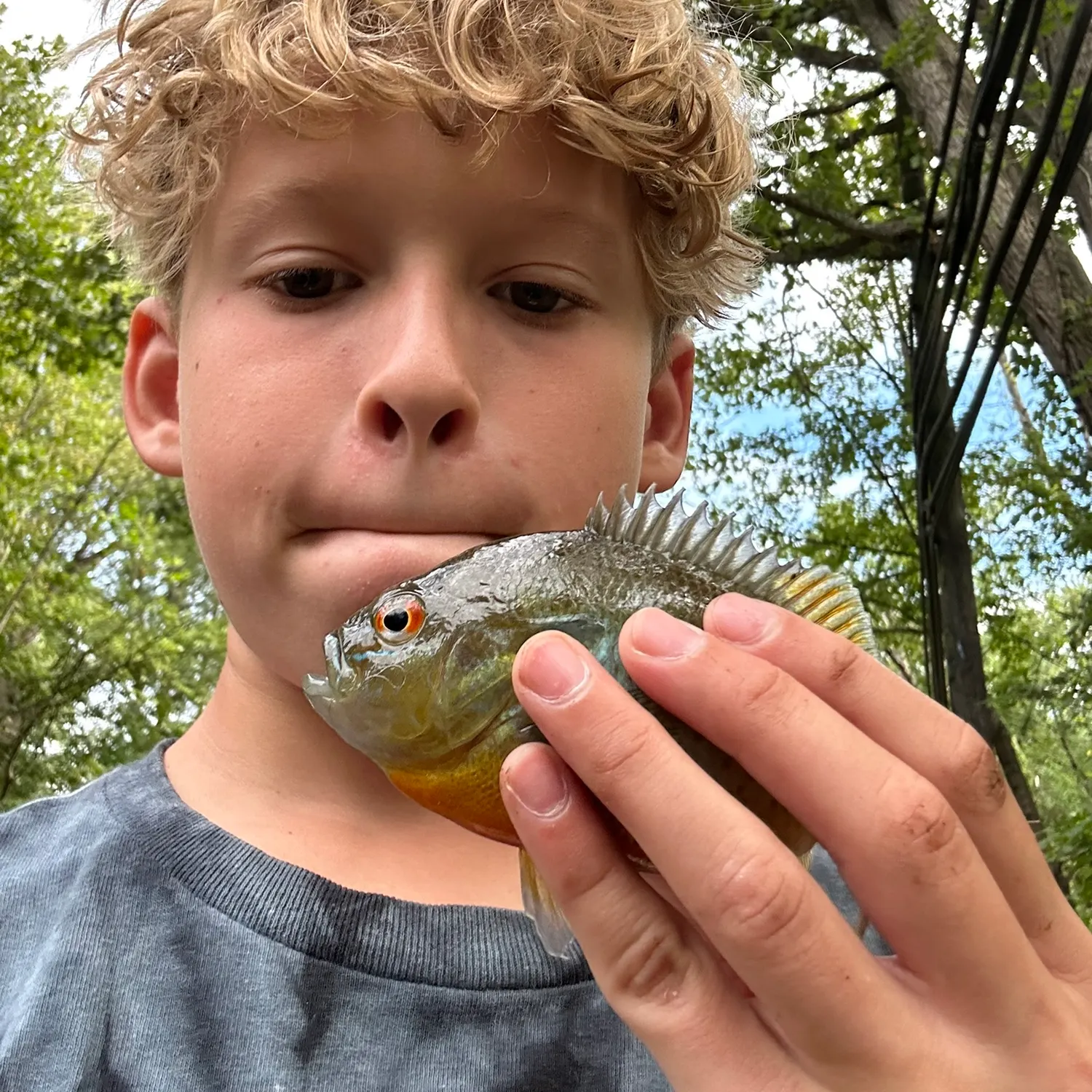 The most recent Orangespotted sunfish catches on Fishbrain
