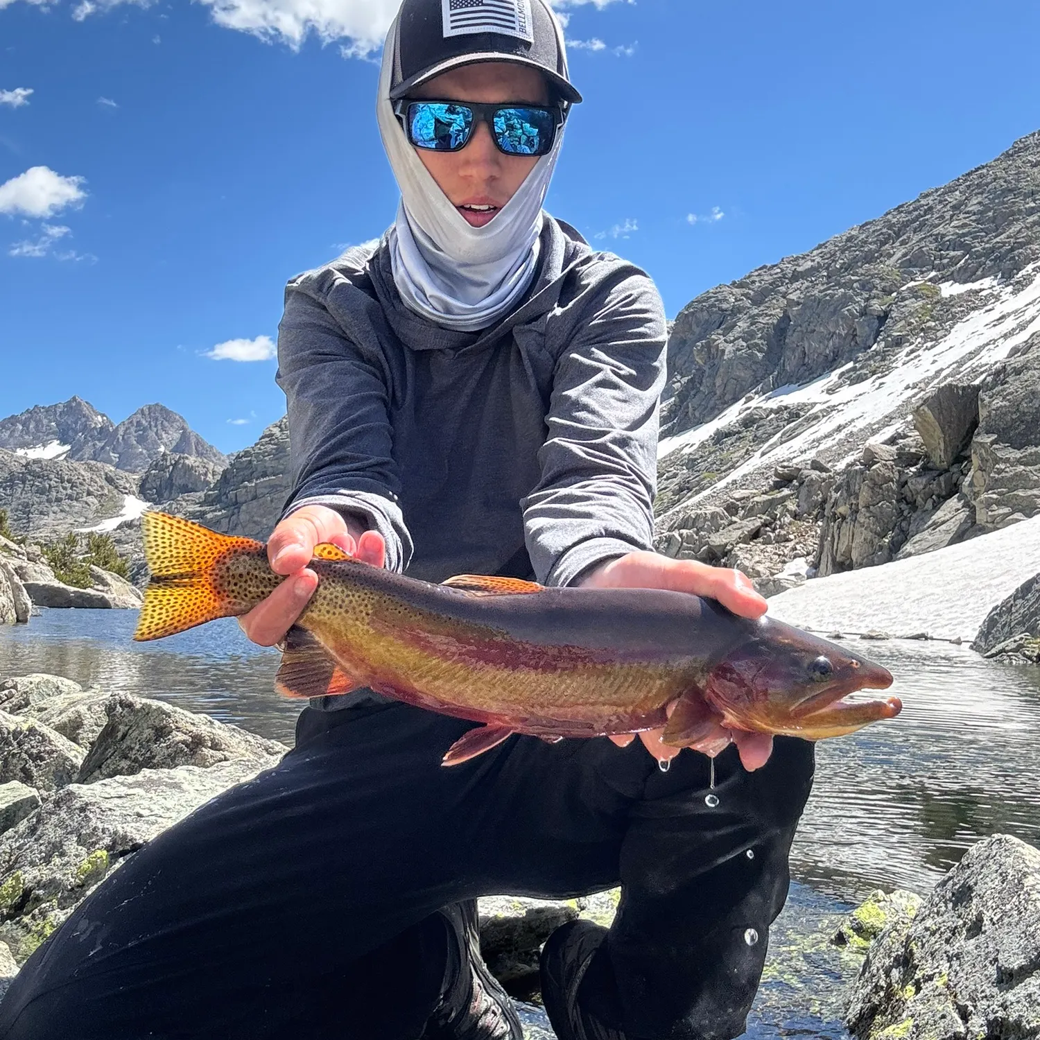 Golden trout caught on Fishbrain