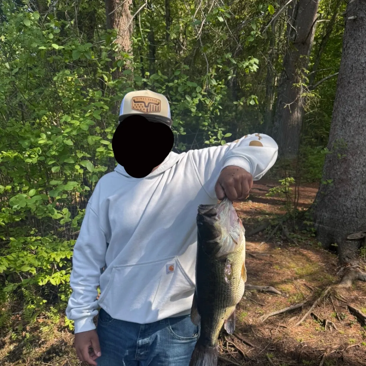 Largemouth bass caught on Fishbrain