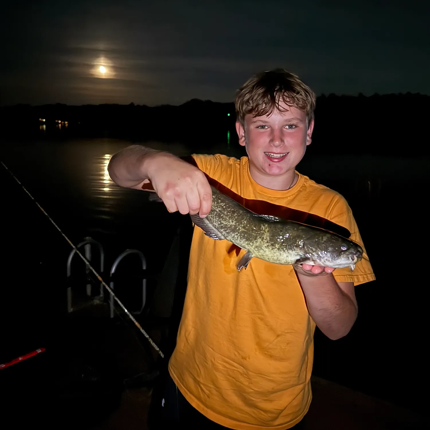 Yellow bullhead caught on Fishbrain