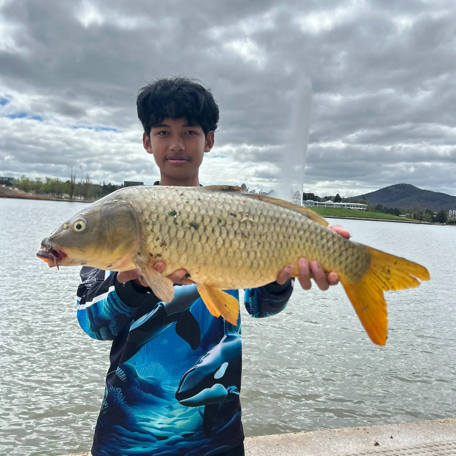 Common carp caught on Fishbrain