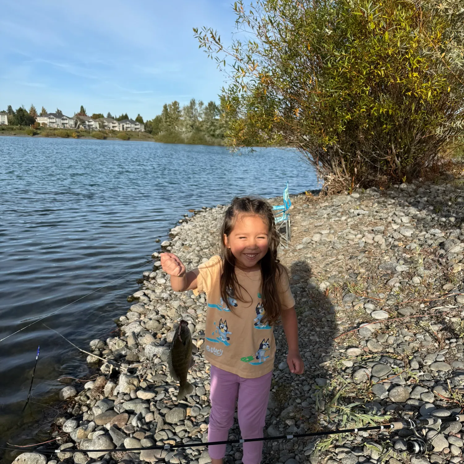 Bluegill caught on Fishbrain