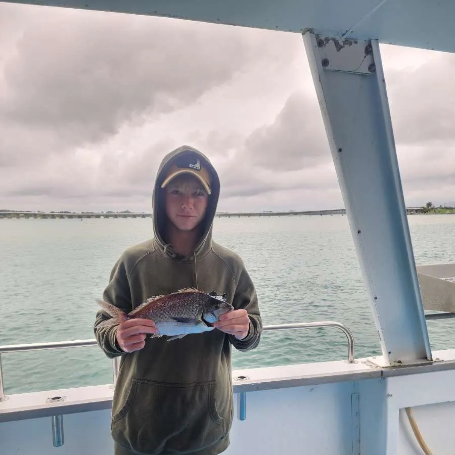 most liked catch image