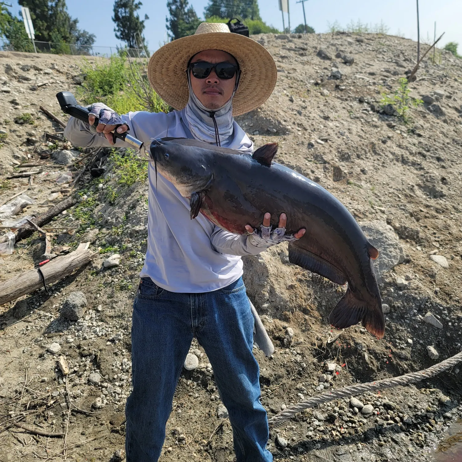 The most recent Channel catfish catches on Fishbrain