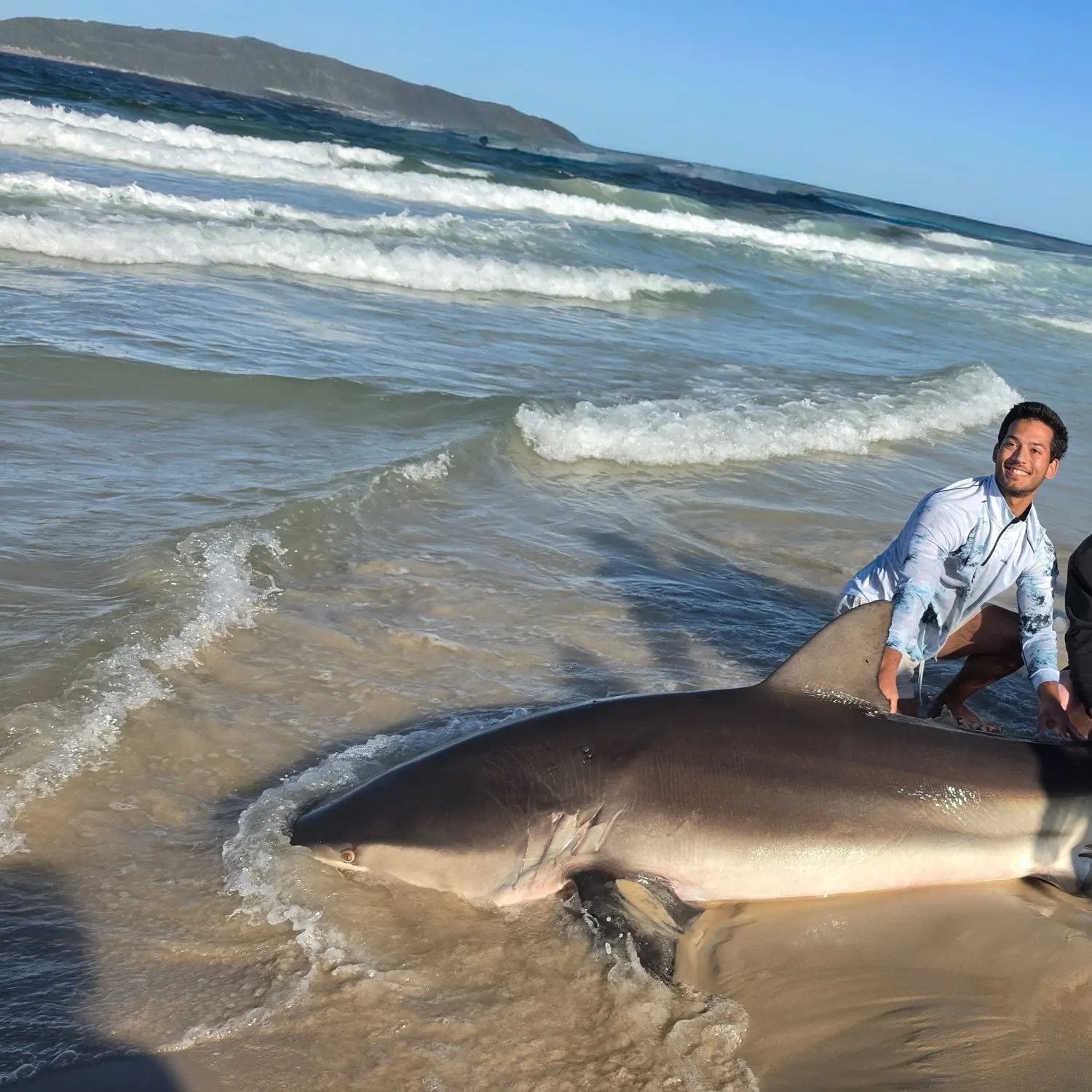 Dusky shark caught on Fishbrain