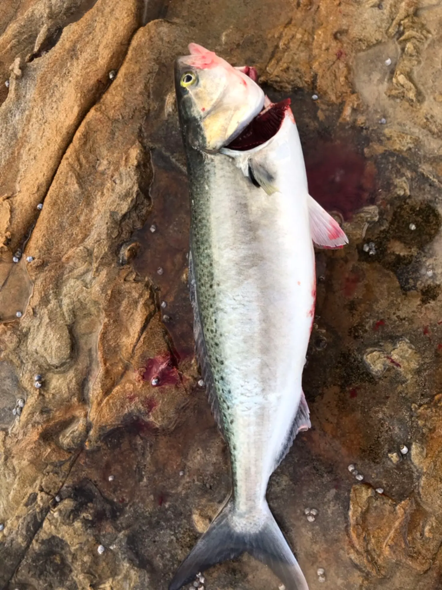 Post image from jadenmatthews