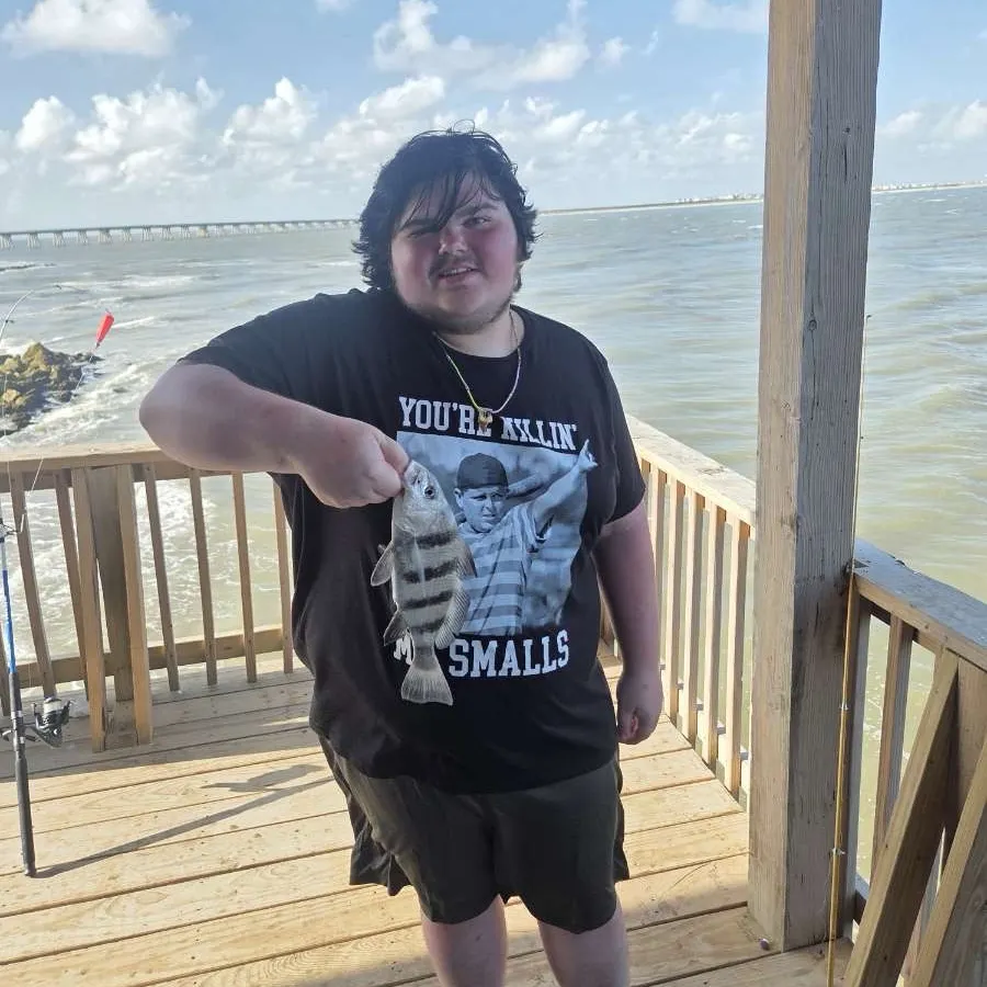 Black drum caught on Fishbrain
