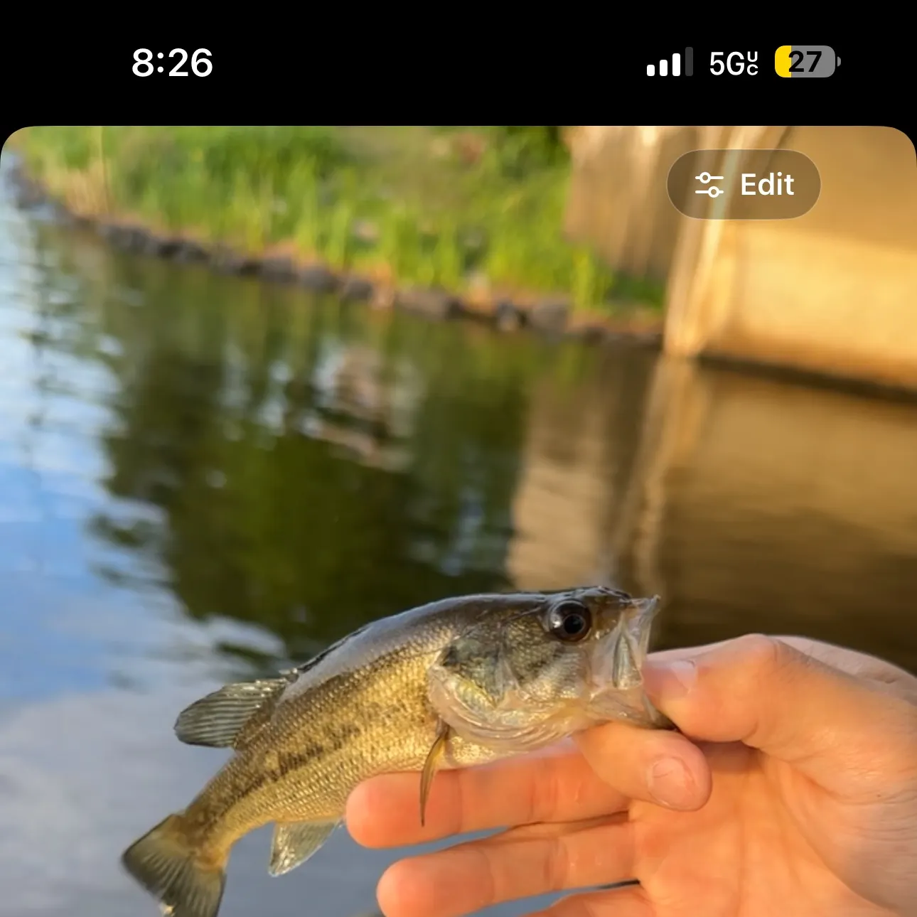 recently logged catches