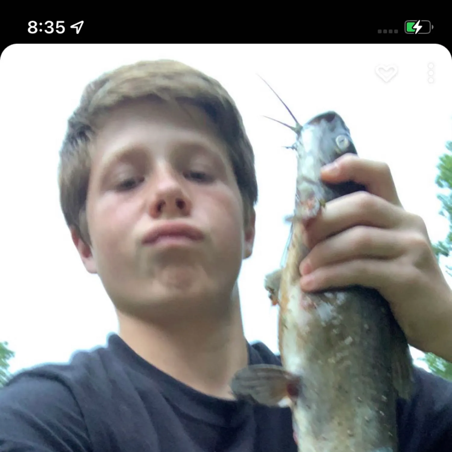 recently logged catches