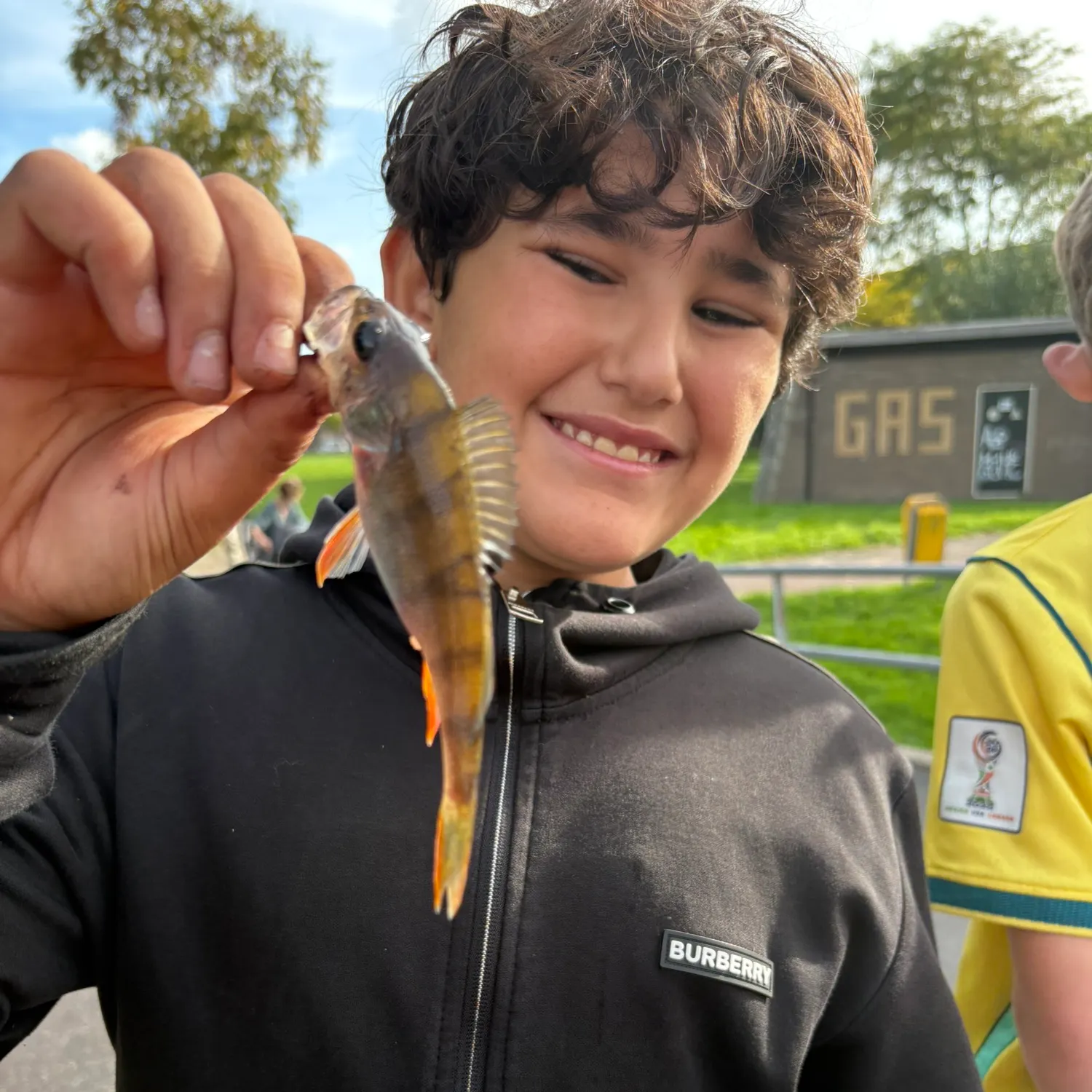 European perch caught on Fishbrain