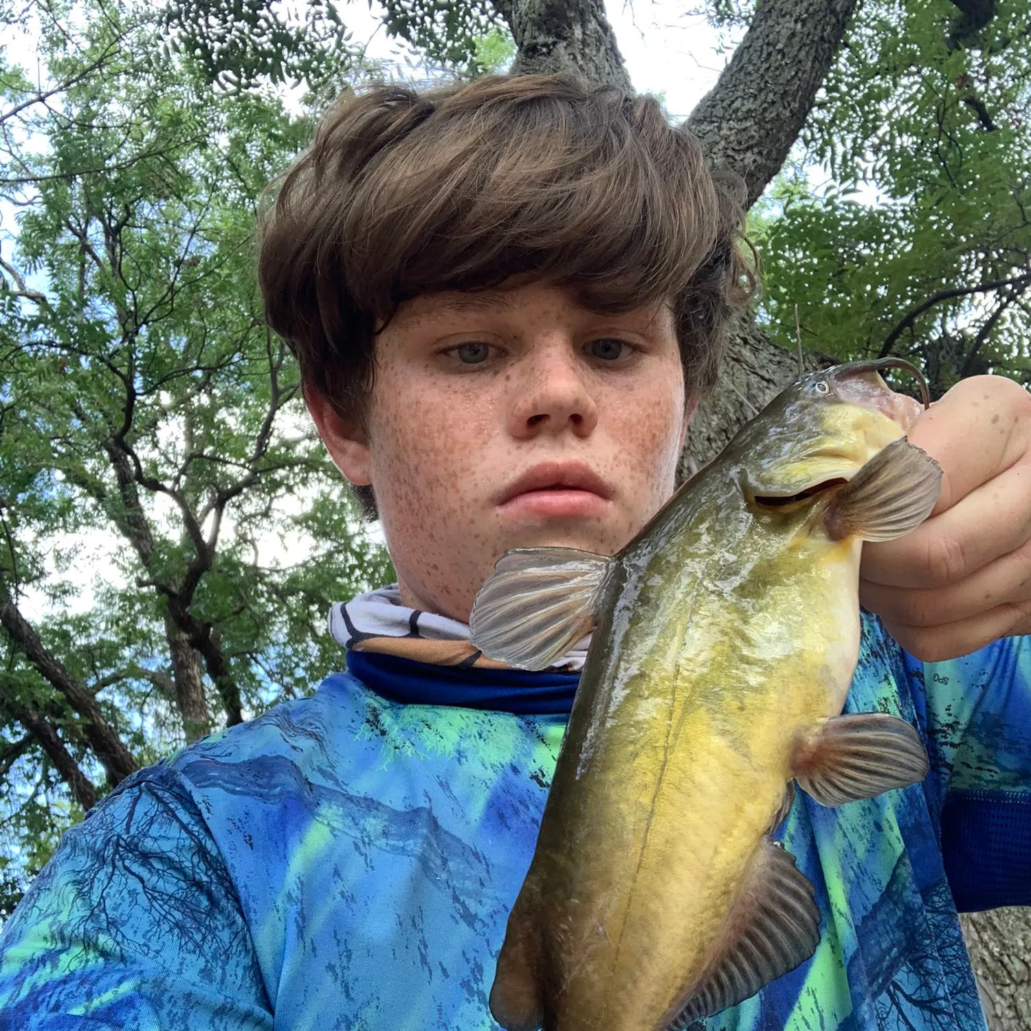 ᐅ Lucy Park fishing reports🎣• Wichita Falls, TX (United States) fishing