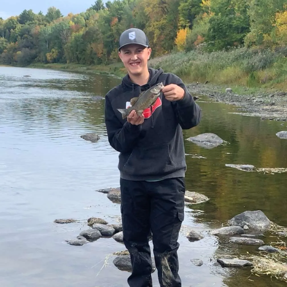 Smallmouth bass caught on Fishbrain
