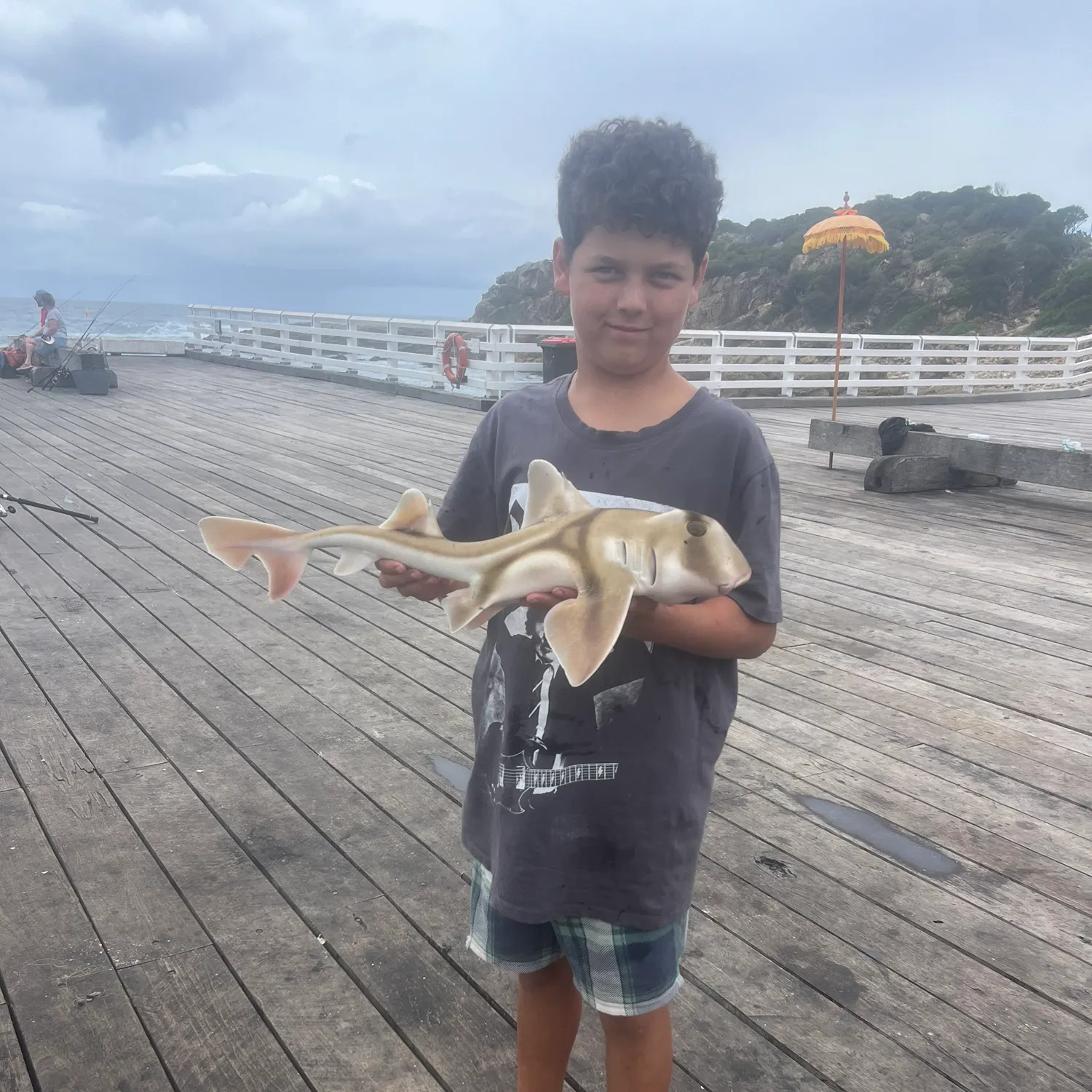The most recent Port Jackson shark catches on Fishbrain