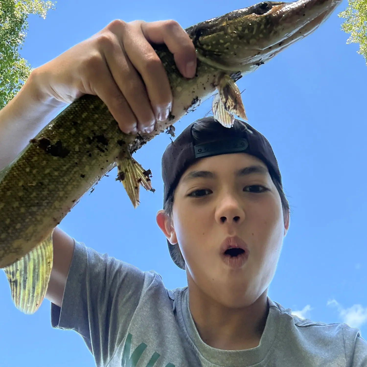 Northern pike caught on Fishbrain