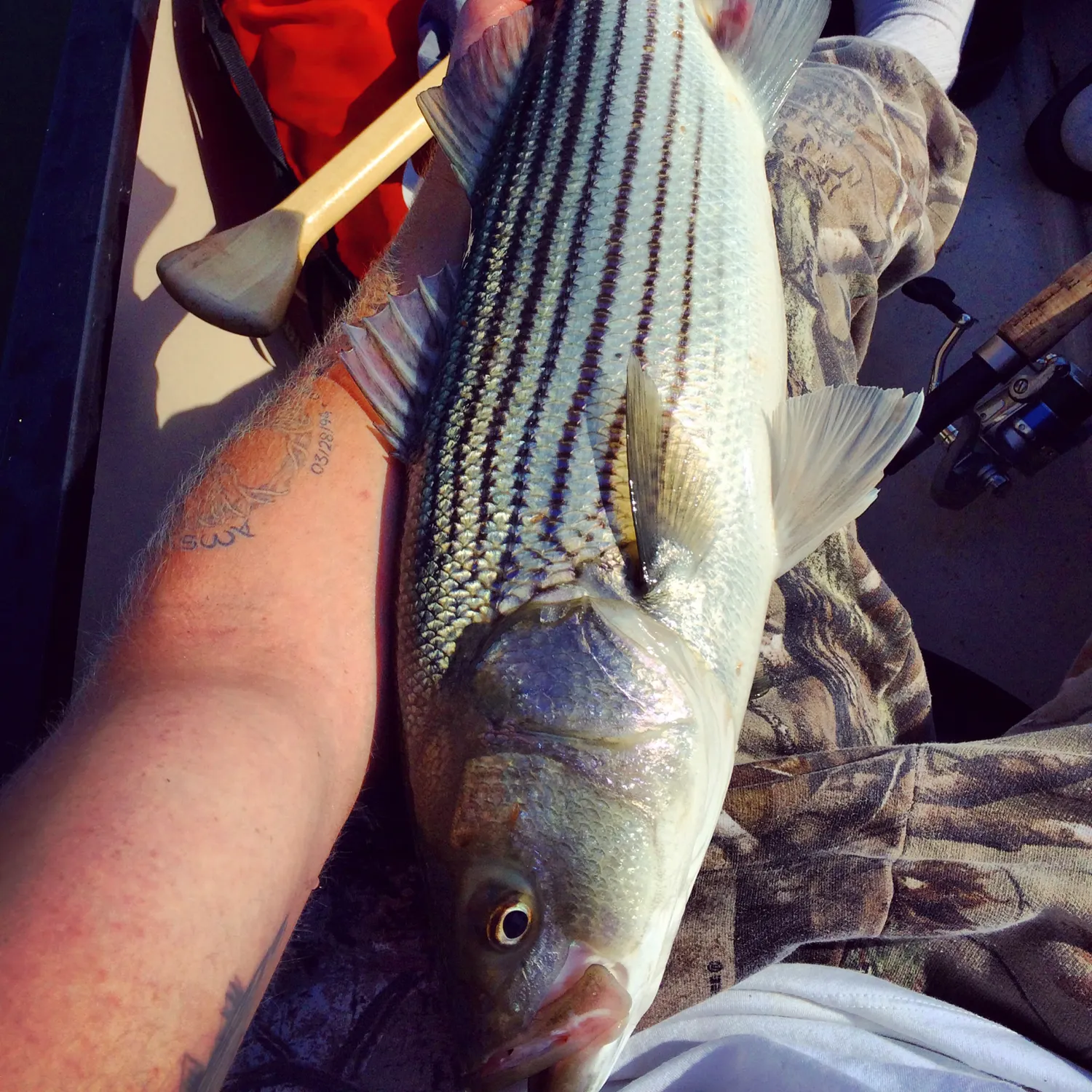 recently logged catches