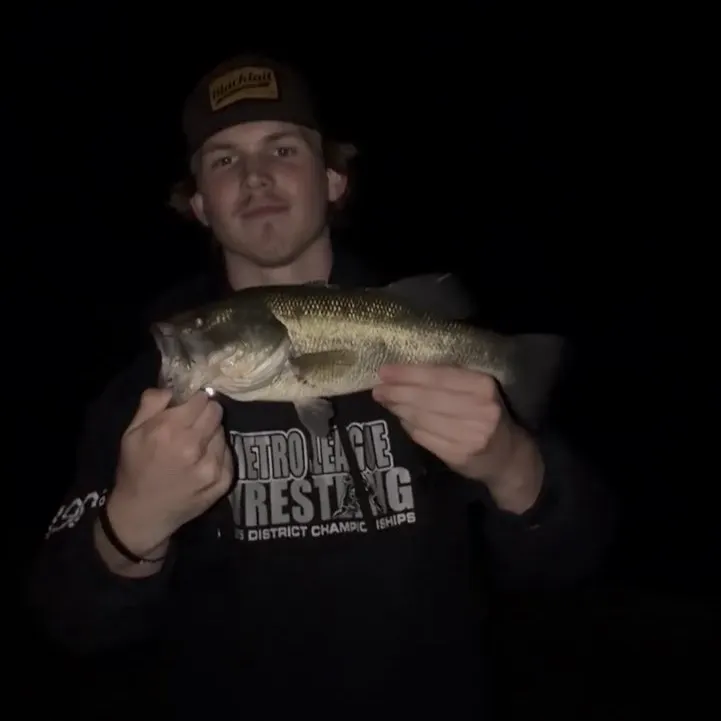 Largemouth bass caught on Fishbrain