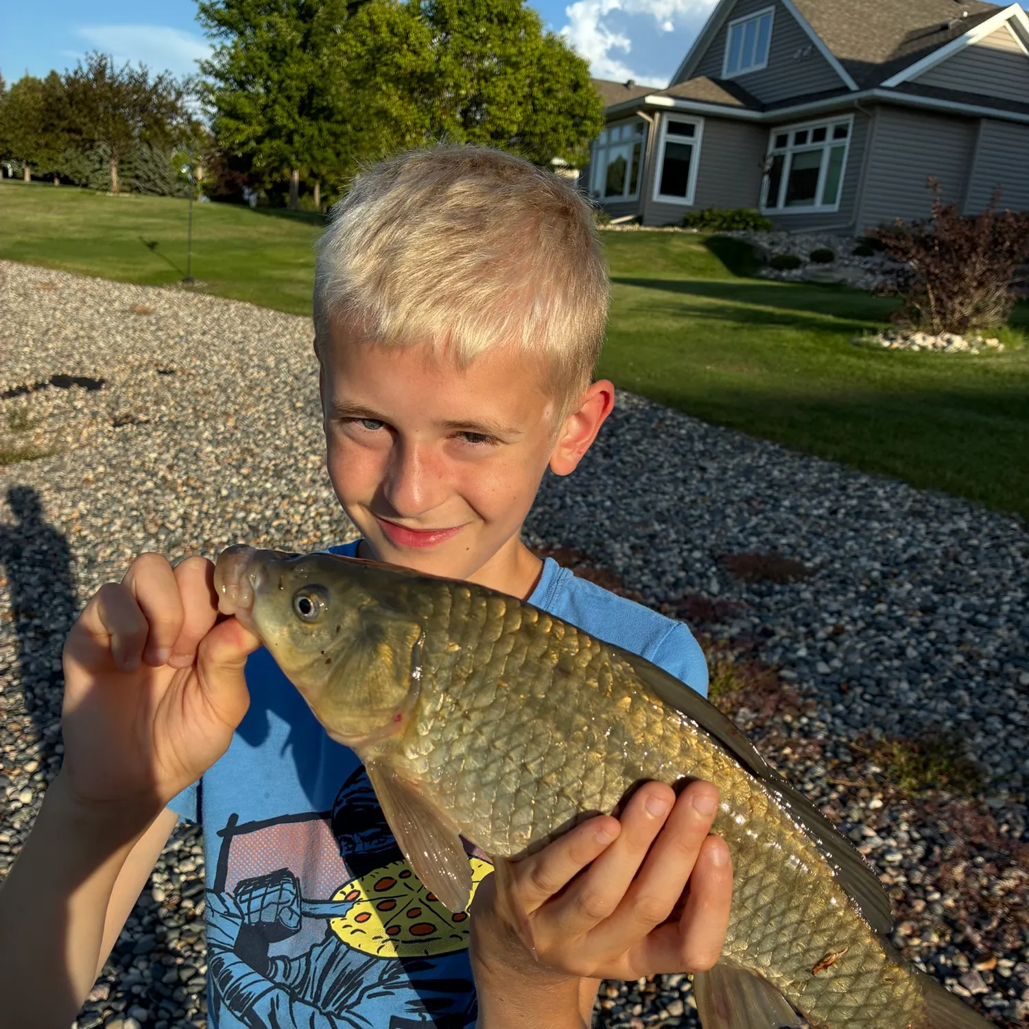 Common carp caught on Fishbrain